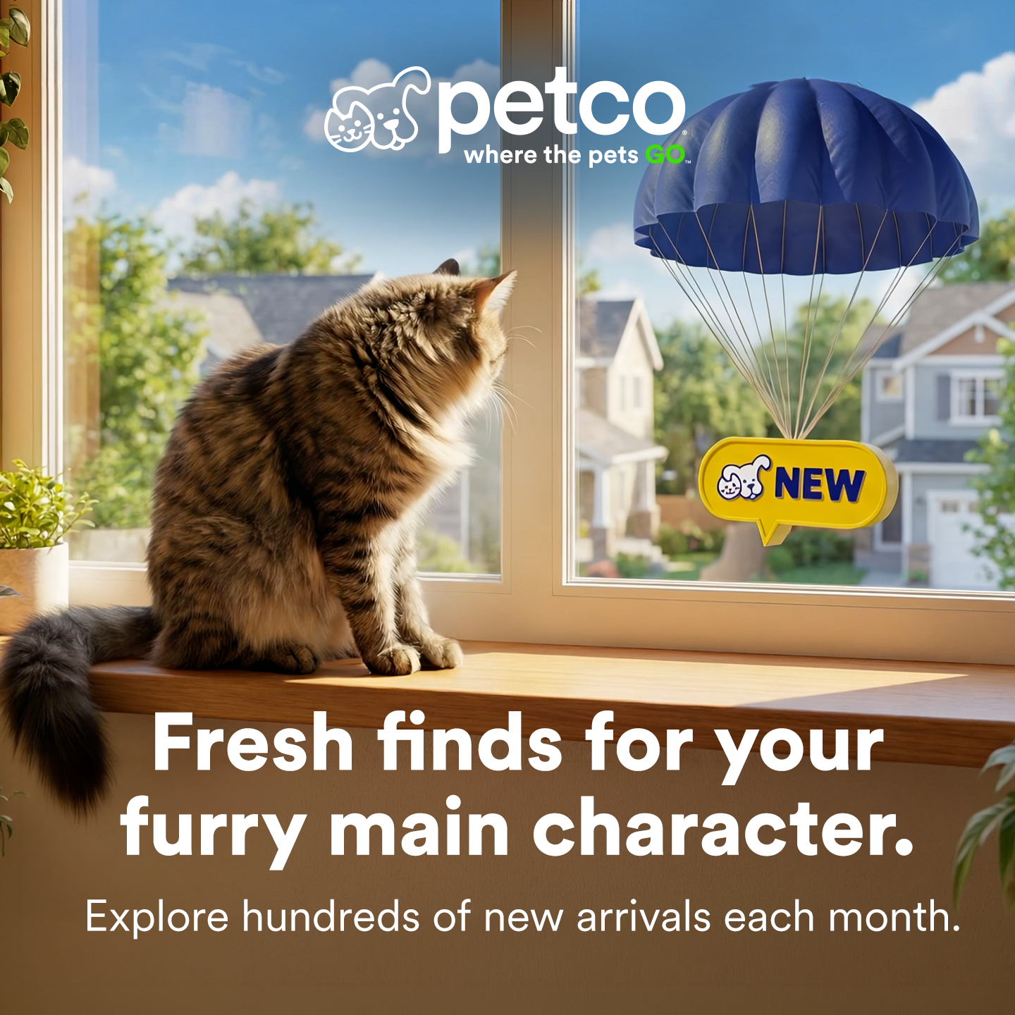 Petco Facebook ad