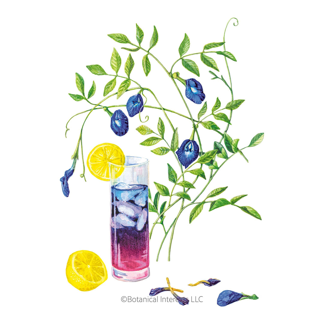 Botanical Interests Facebook ad: New-for-2026 Botanical Interests seed varieties are here!