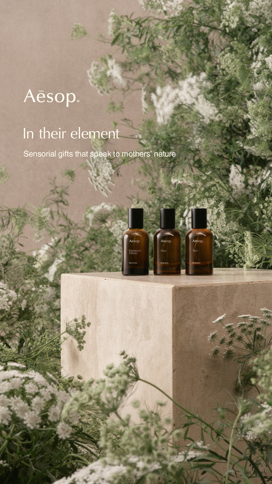 Aesop Facebook ad