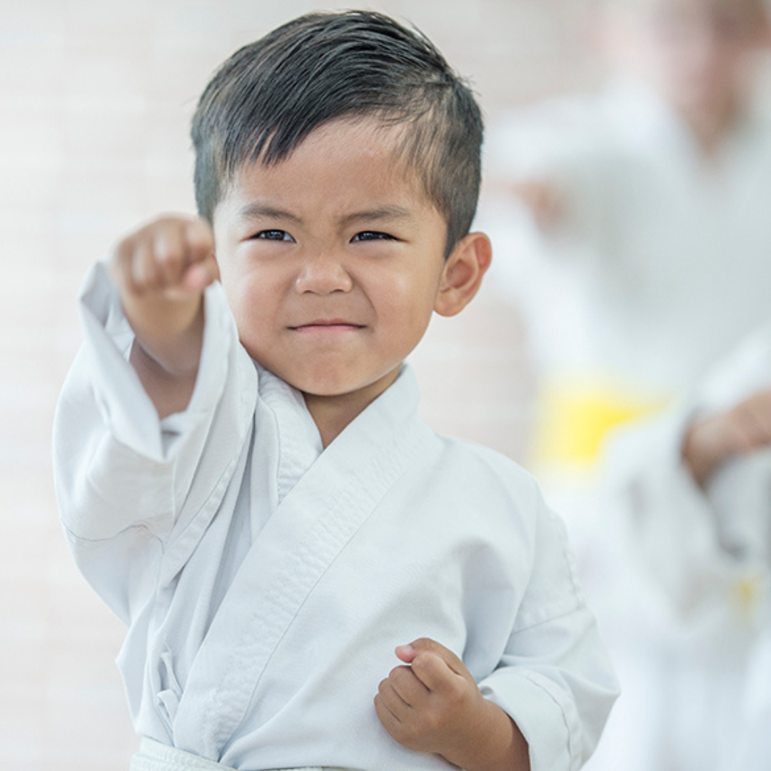 No Limits Martial Arts - Oakville Facebook ad