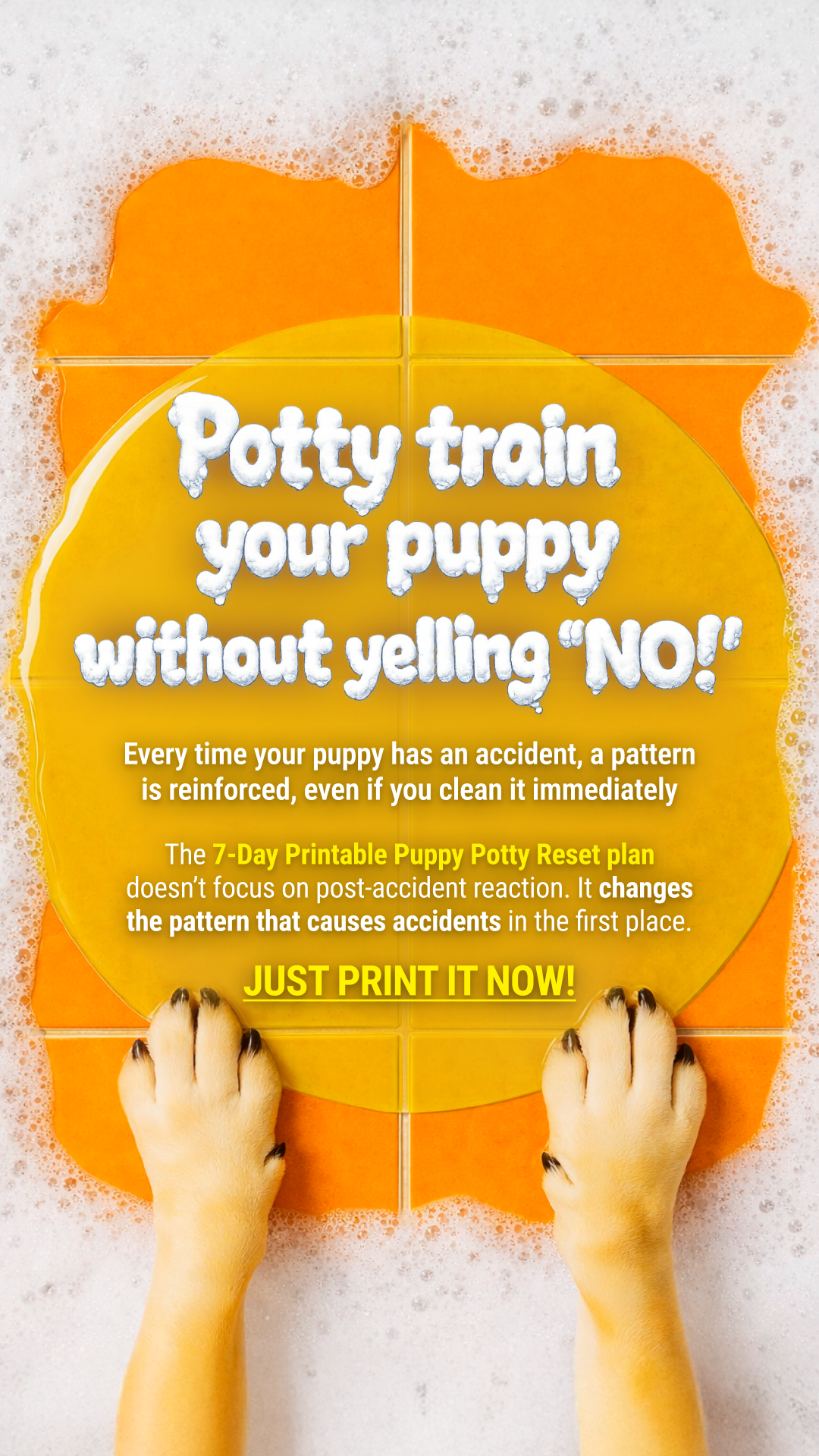 Woofz - Puppy Training Facebook ad