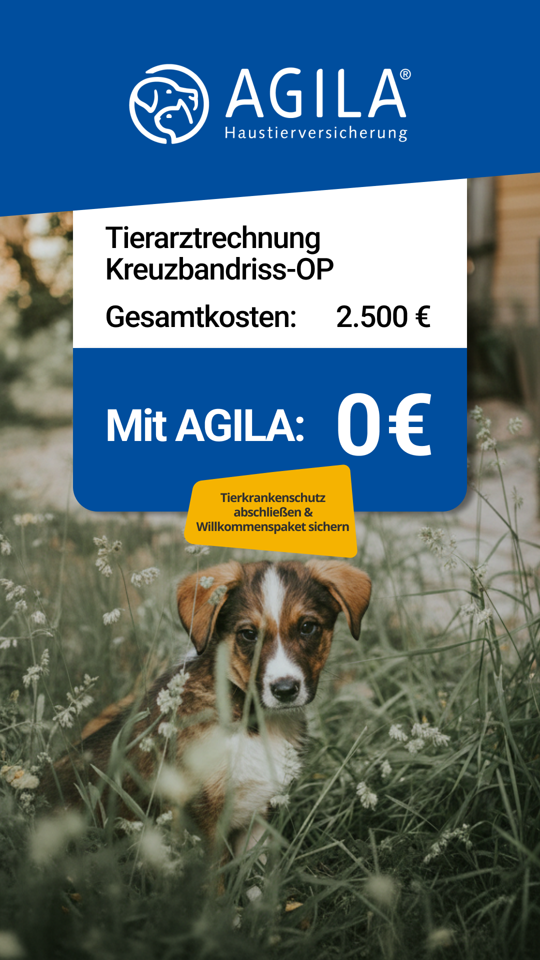 AGILA Haustierversicherung Facebook ad: Willkommenspaket für Deinen Welpen