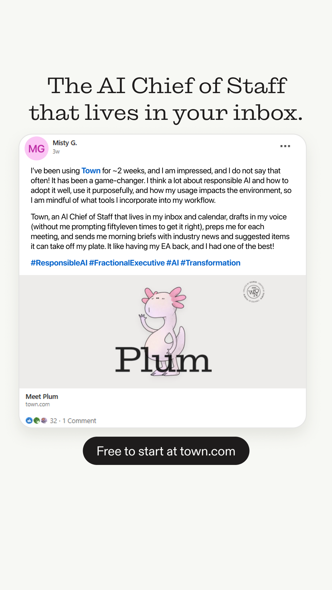 Town.com Facebook ad: Town | The AI Assistant That Does the Work