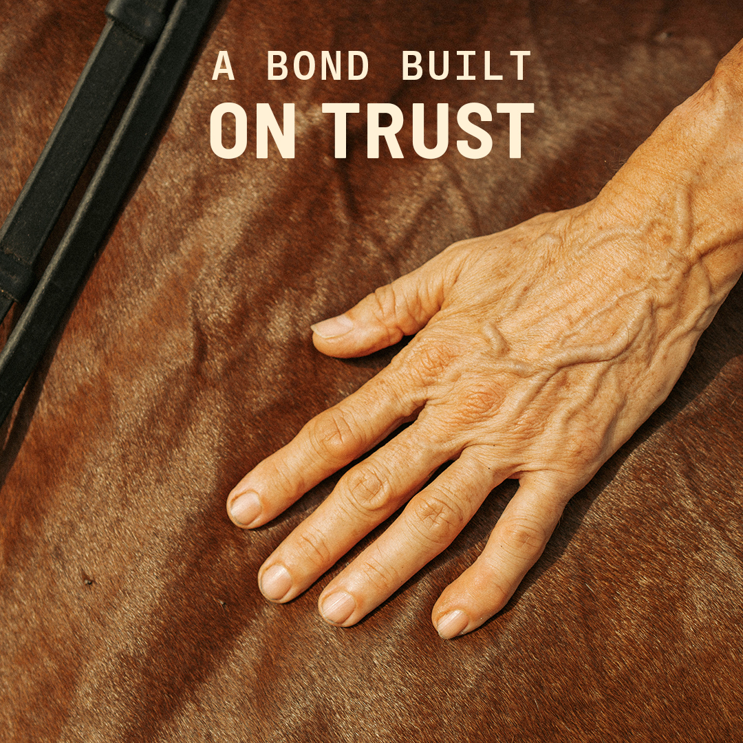 Purina Horse Facebook ad: You're at your best when your horse is…