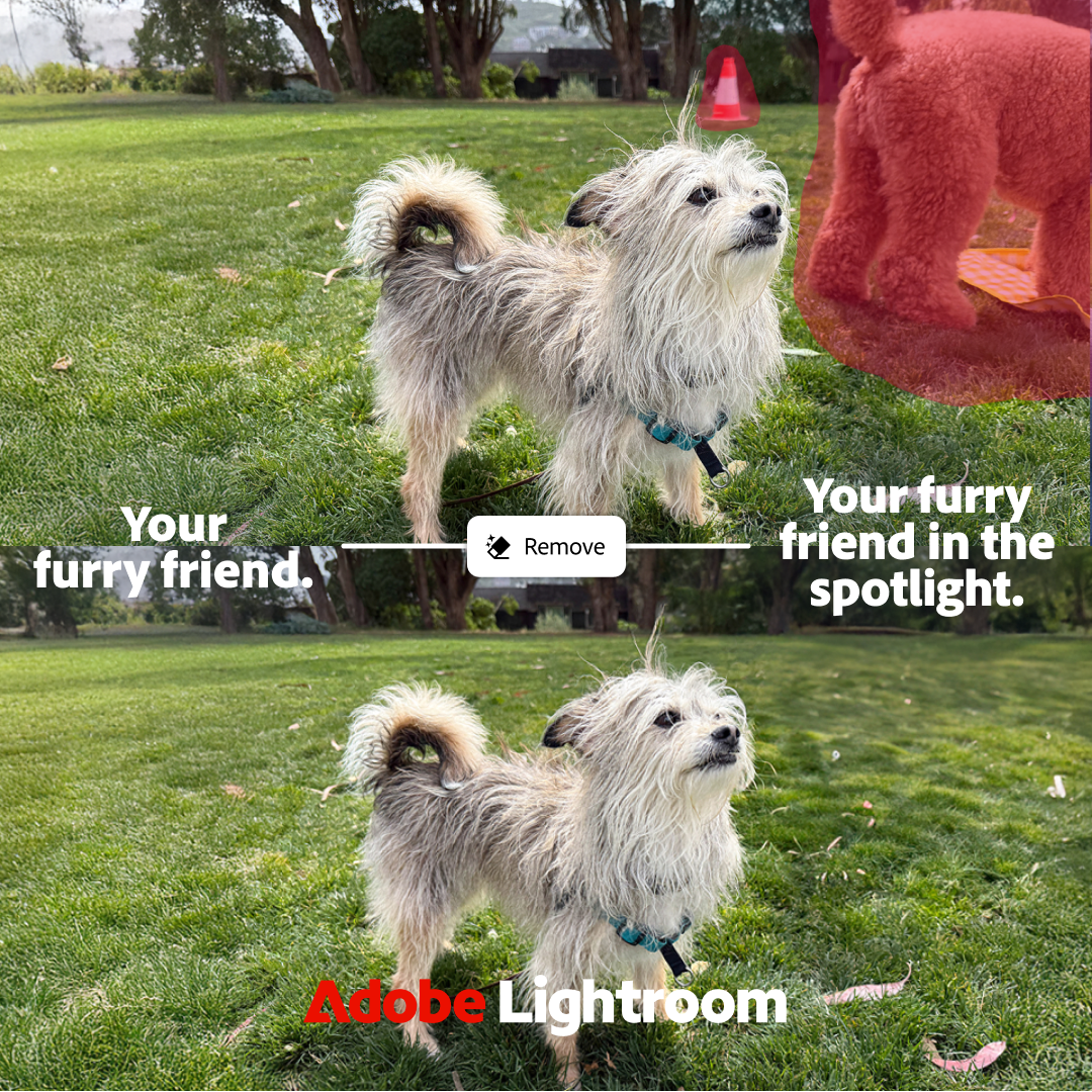 Adobe Lightroom Facebook ad