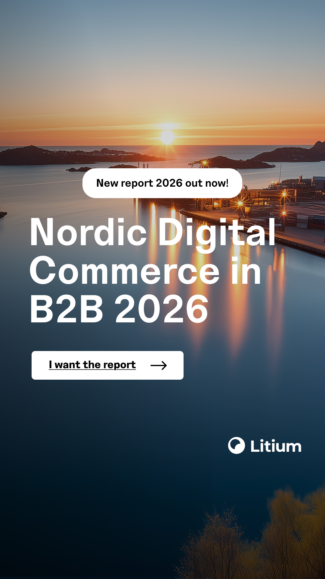 Litium Facebook ad: Download the report