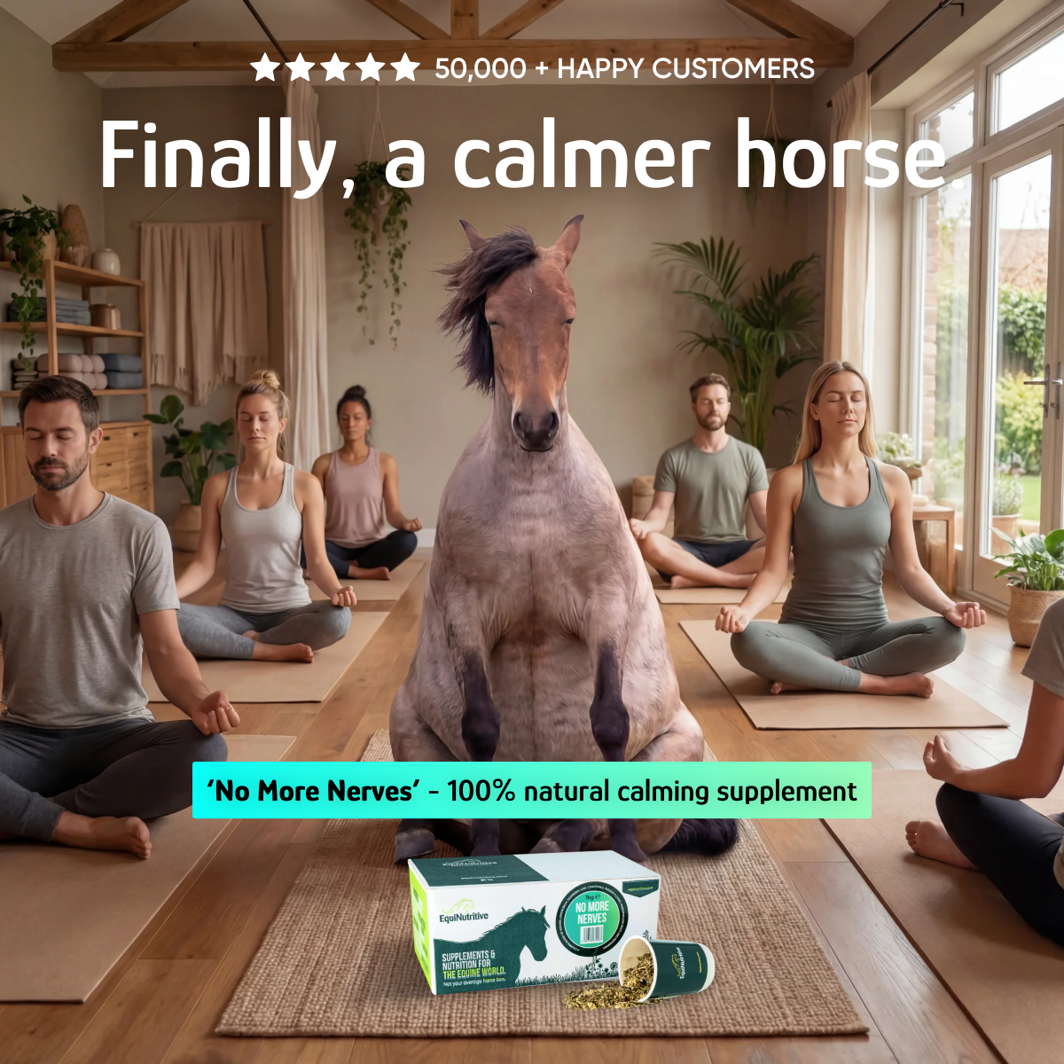 EquiNutritive Facebook ad