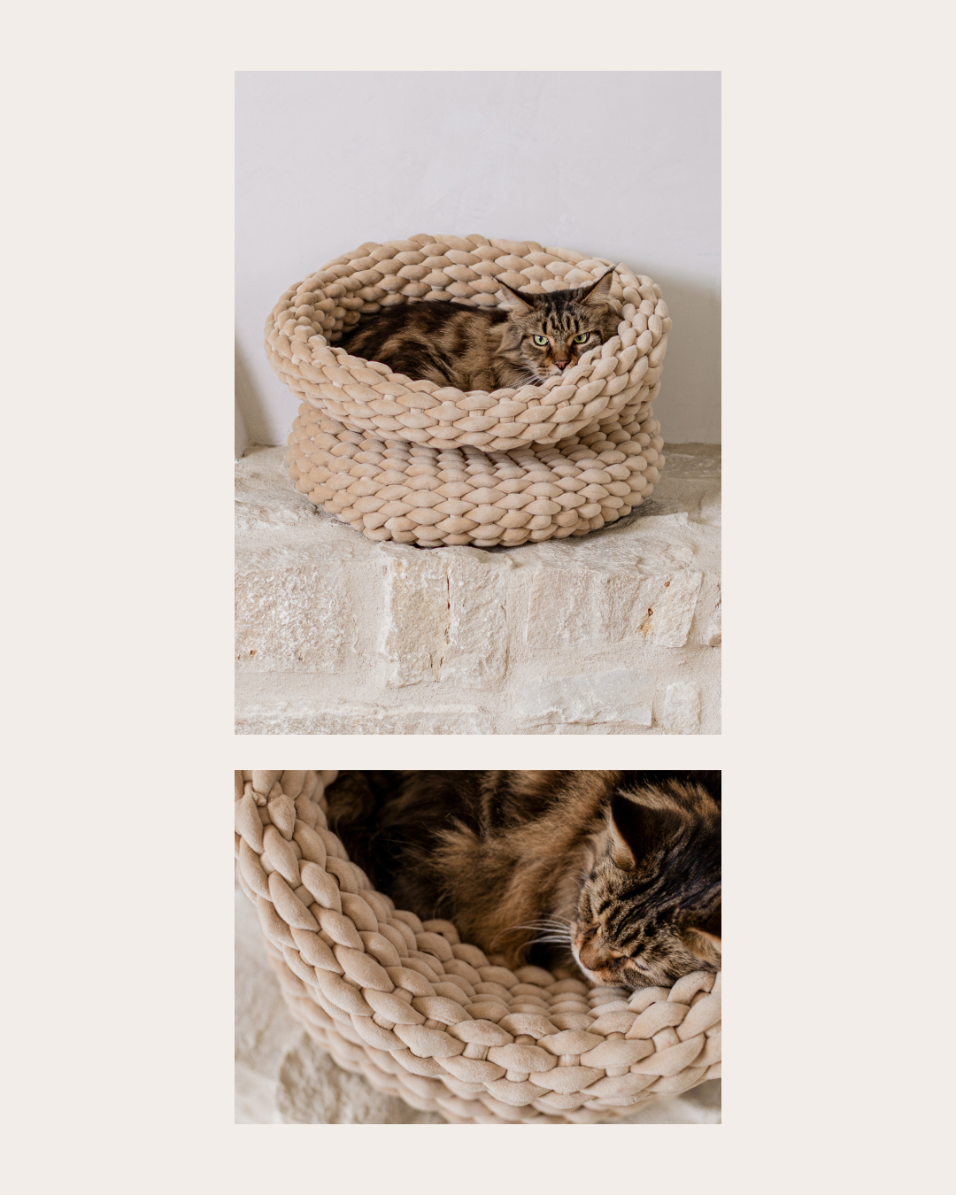 Mau Pets Facebook ad: 45 Day Risk Free Trial