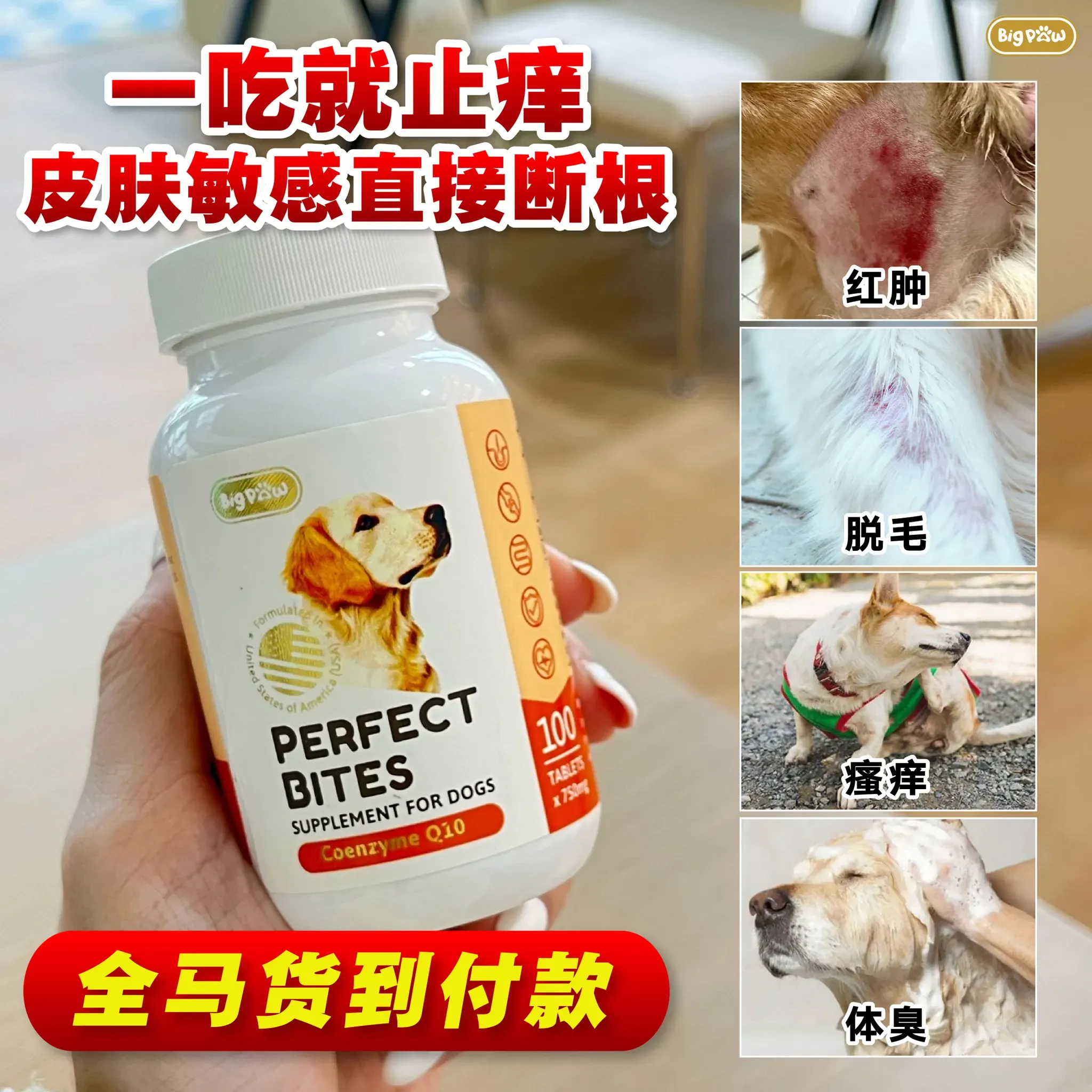 Big Paw 狗狗护心宝 Q10 Facebook ad