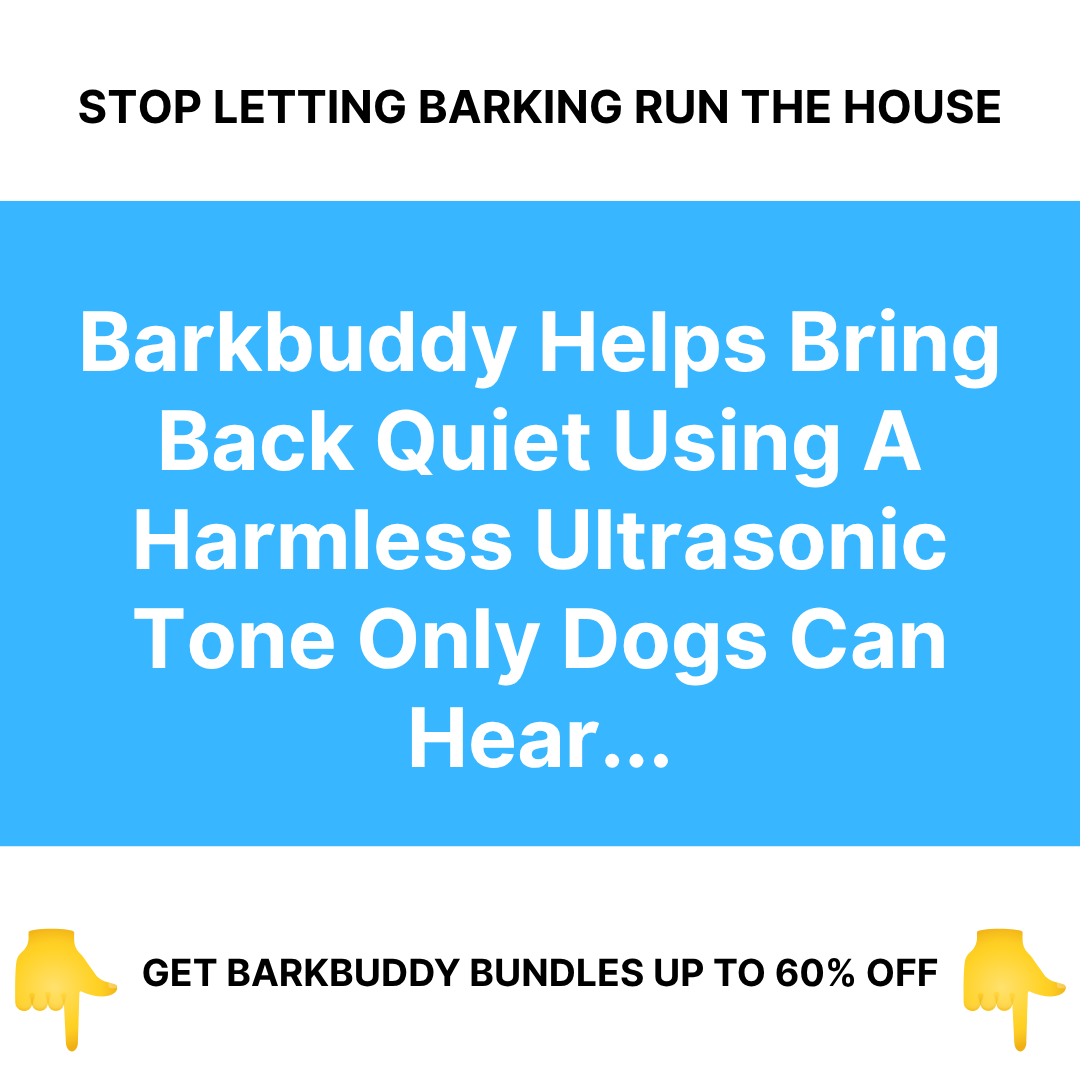 Canine Corner Australia Facebook ad