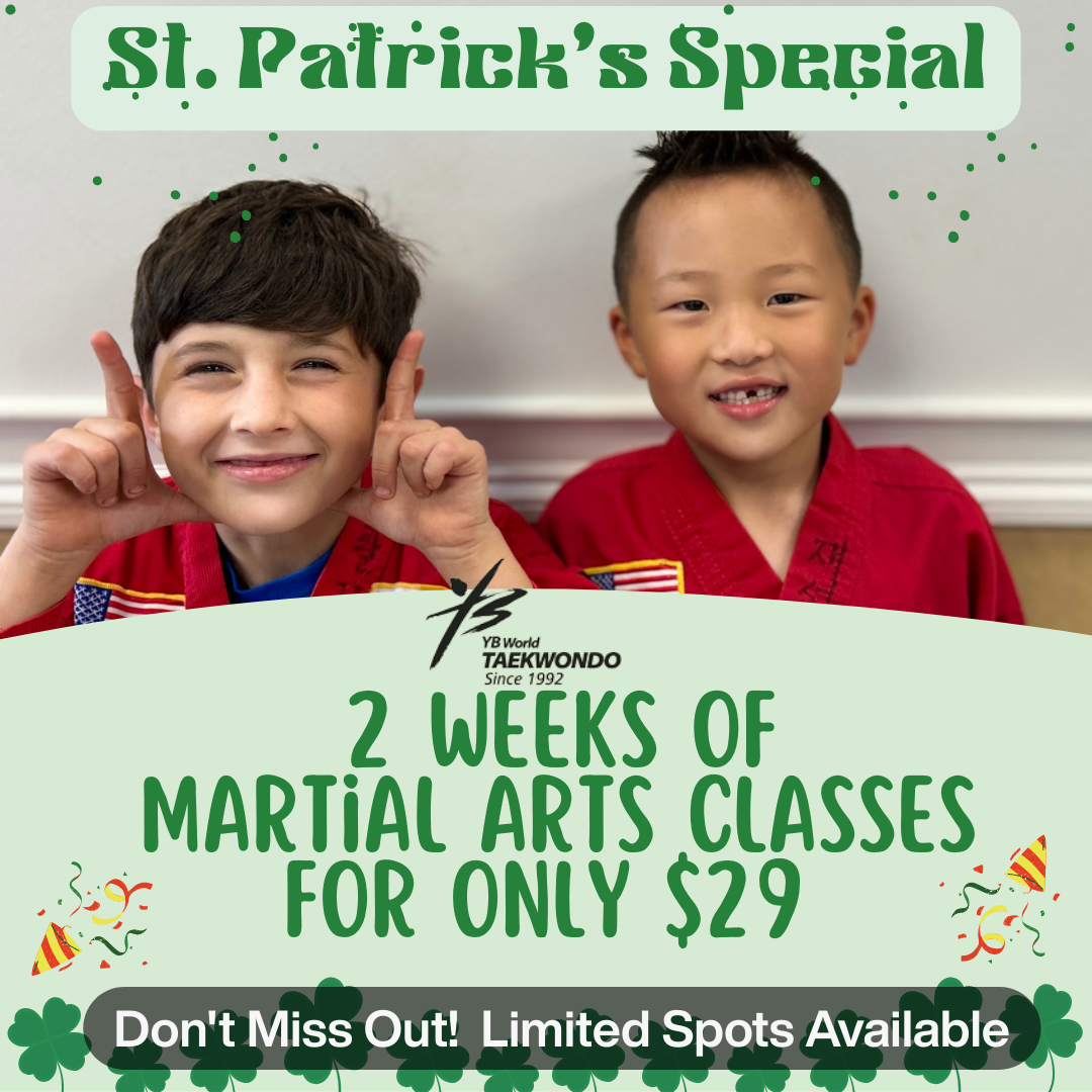 YB World Taekwondo Academy Facebook ad