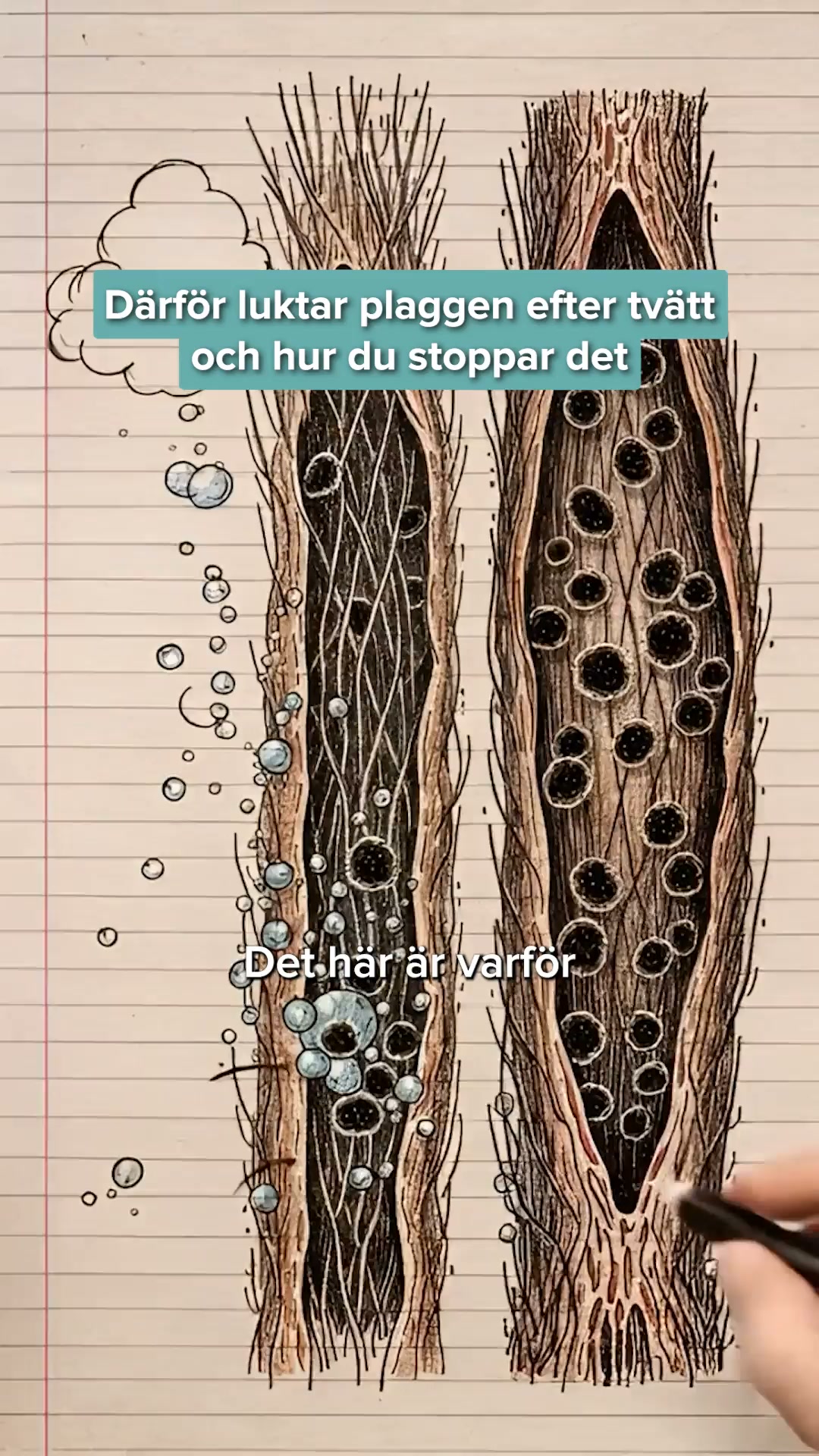 Sunda Facebook ad: Äntligen. Faktiskt fräscha träningskläder.