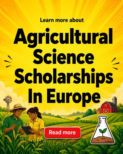 Mindfulness Code Facebook ad: Read more about scholarship opportunities for.