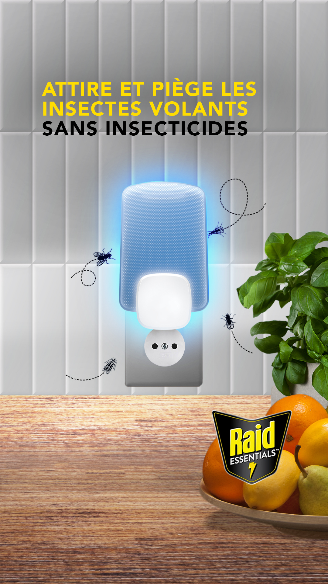 Raid Essentials France Facebook ad from Jul 3, 2026