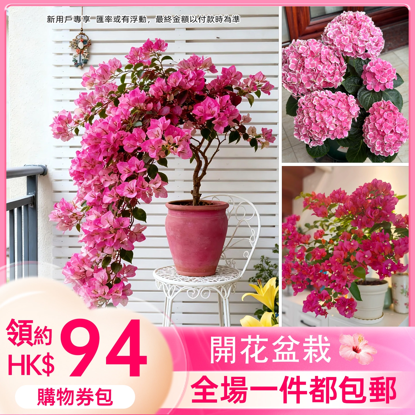 拼多多 香港 Facebook ad
