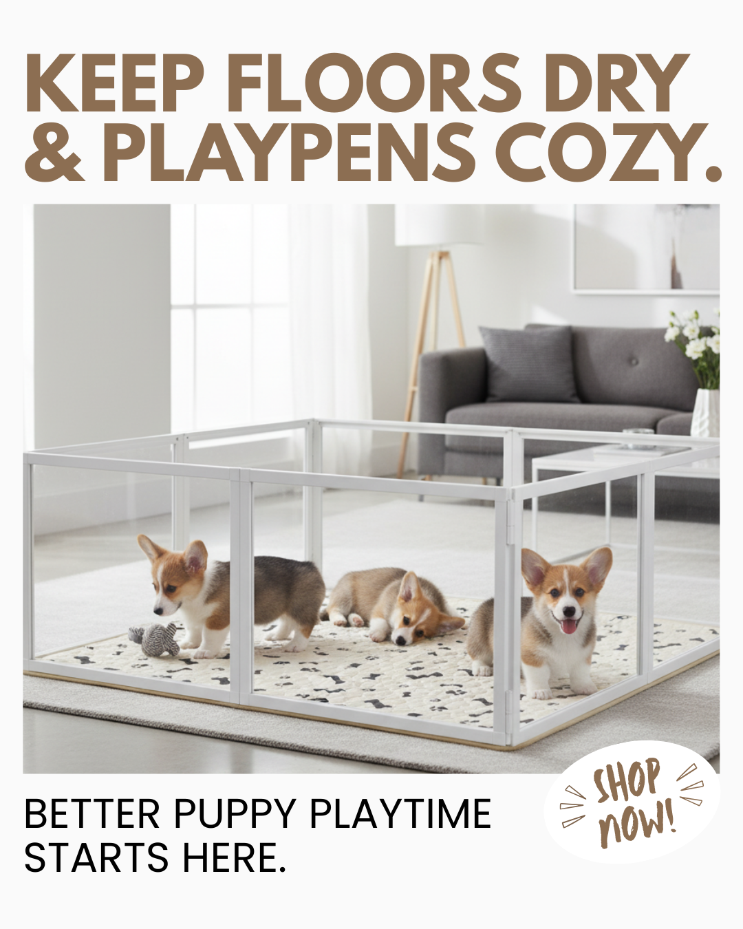 Potty Buddy Facebook ad