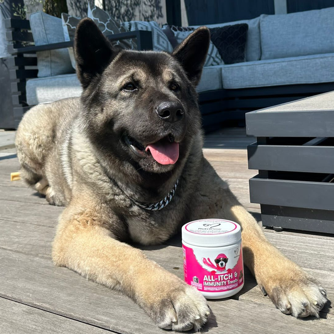 Nutri Paw Facebook ad