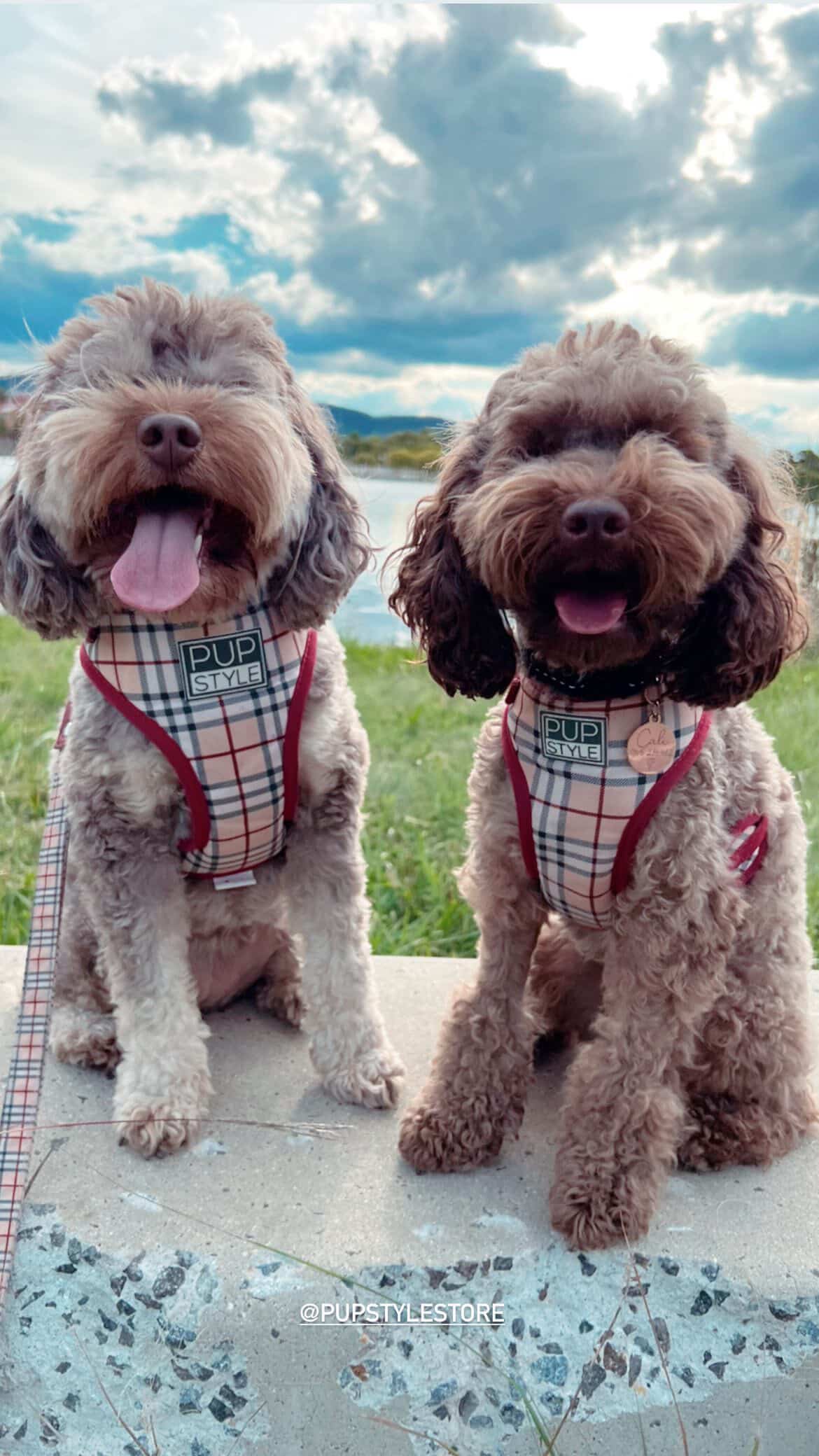 PUPSTYLE Store Facebook ad