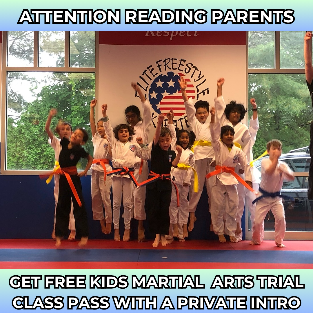 Elite Freestyle Karate Facebook ad