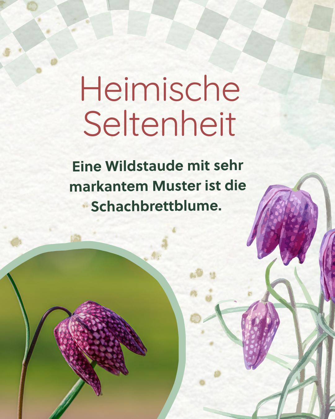 Baumschule Horstmann Facebook ad