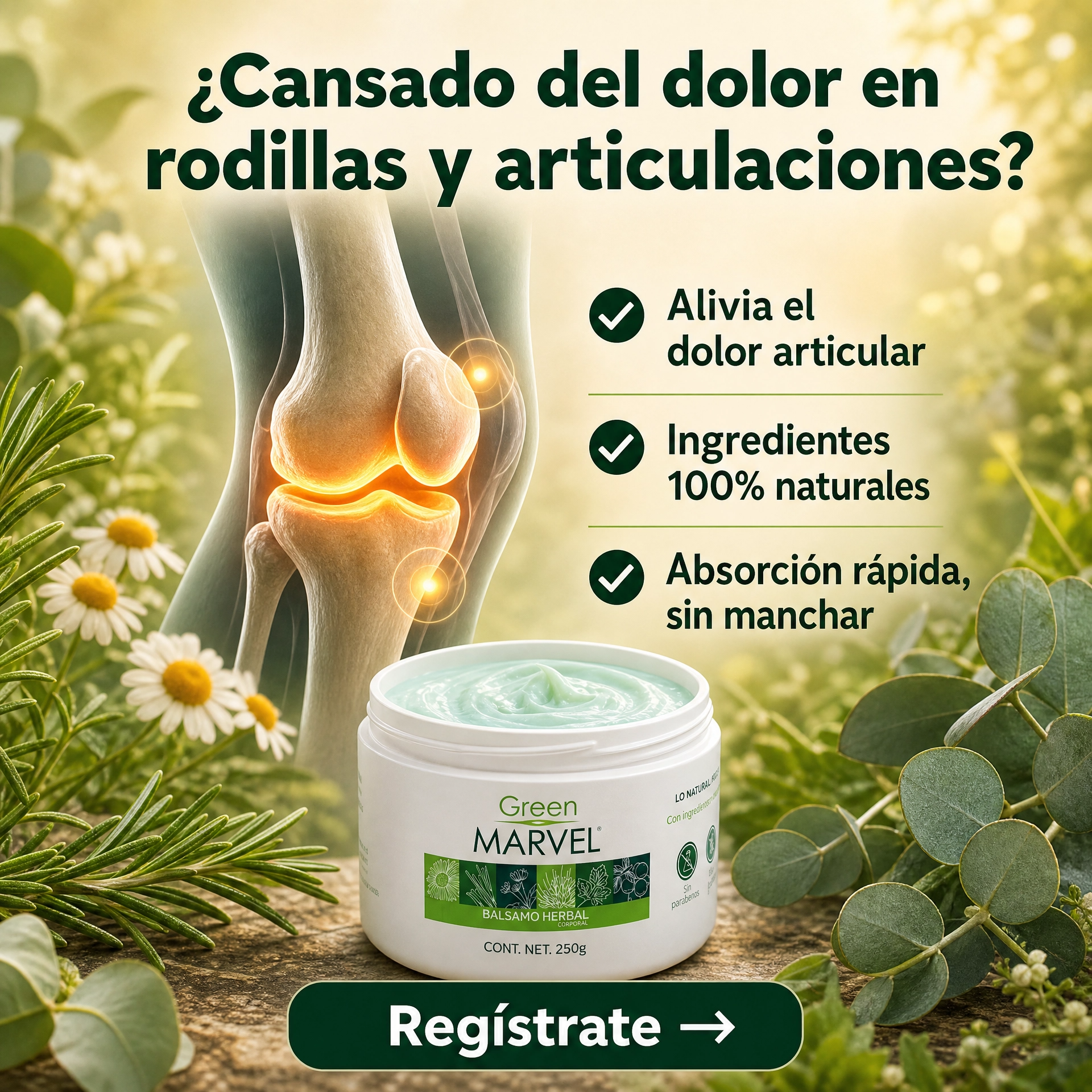 Inova Facebook ad: Déjanos tus datos y te asesoramos personalmente.