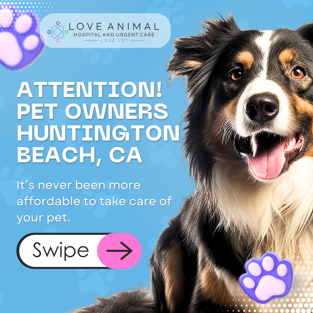 Love Animal Hospital and Urgent Care Facebook ad: Free First Vet Check-up Included!