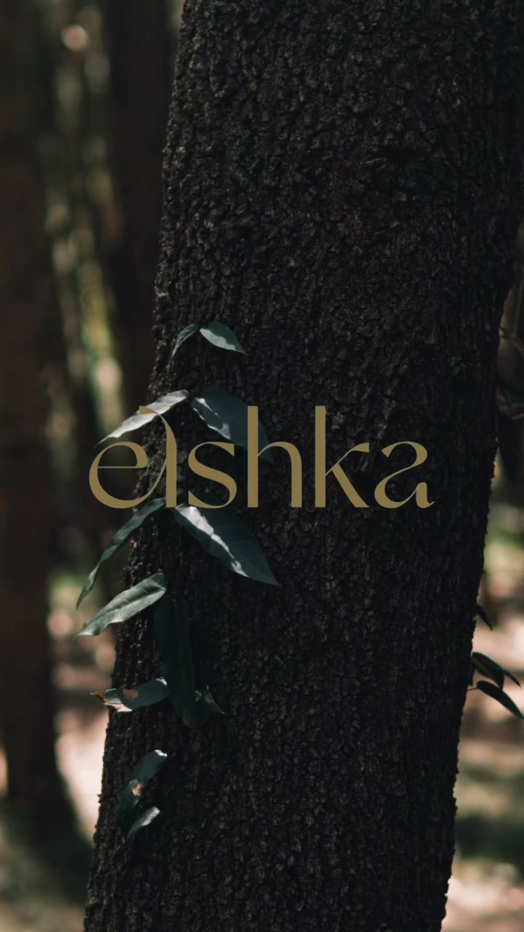 Elshka Facebook ad: Award winning vulva care