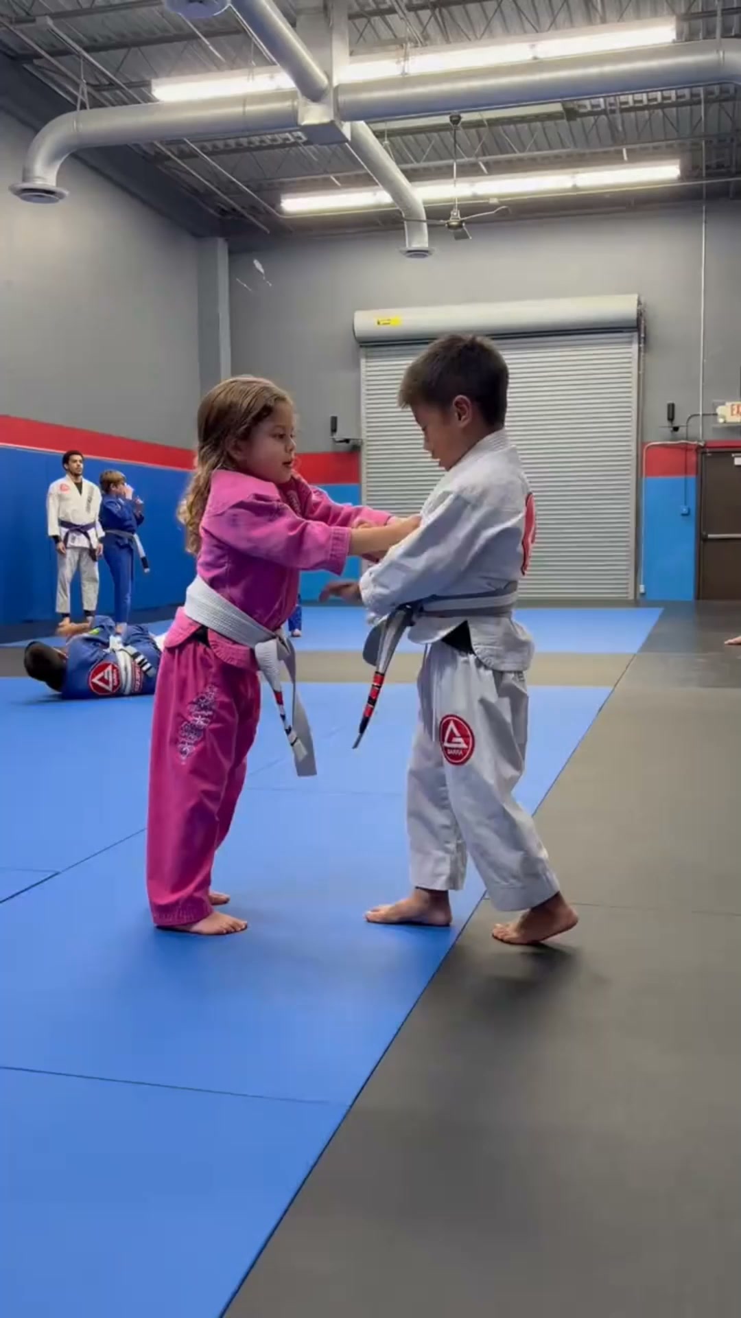 Combat Focus Training Facebook ad: 300+ jiu jitsu Games & Drills