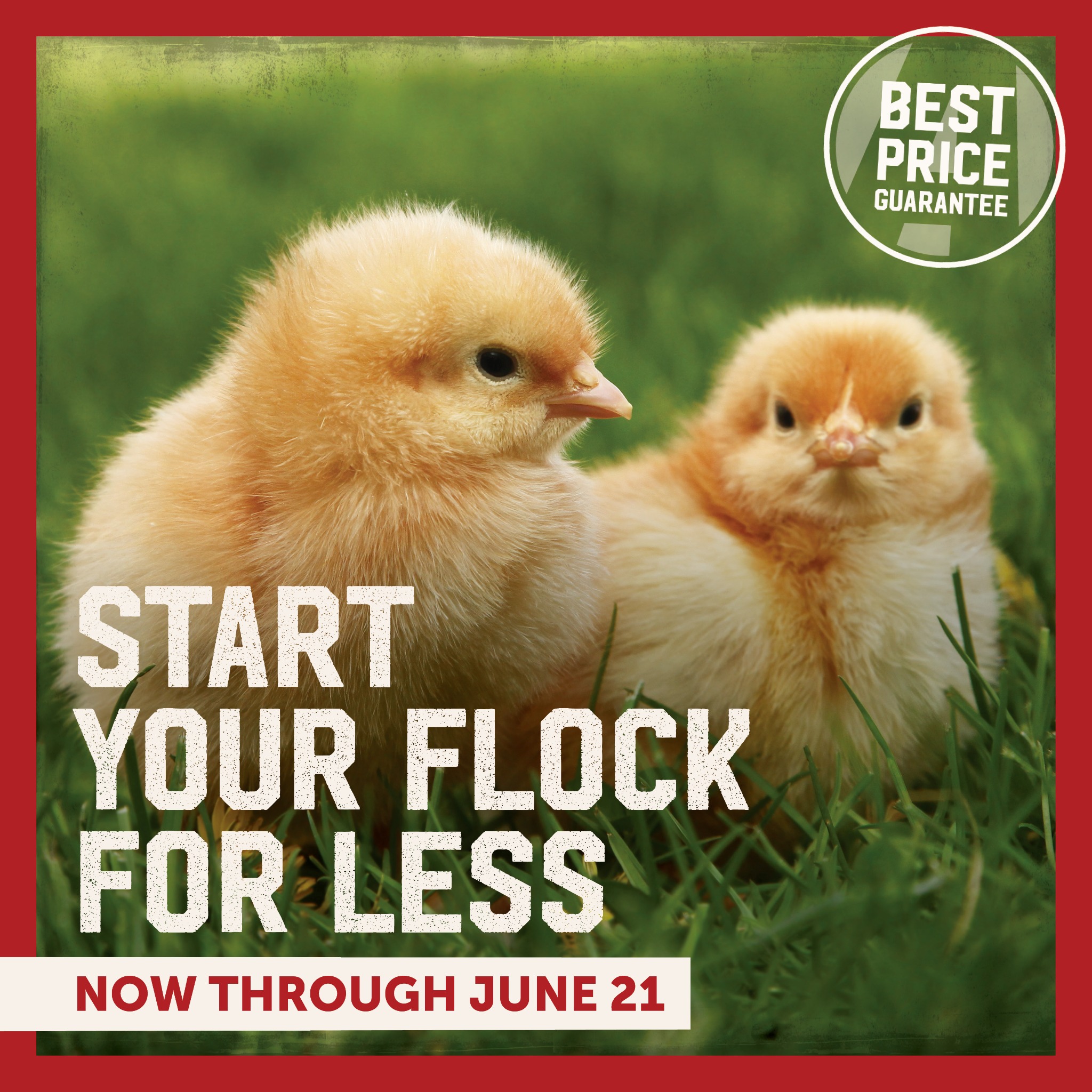 Atwoods Ranch & Home Goods Facebook ad
