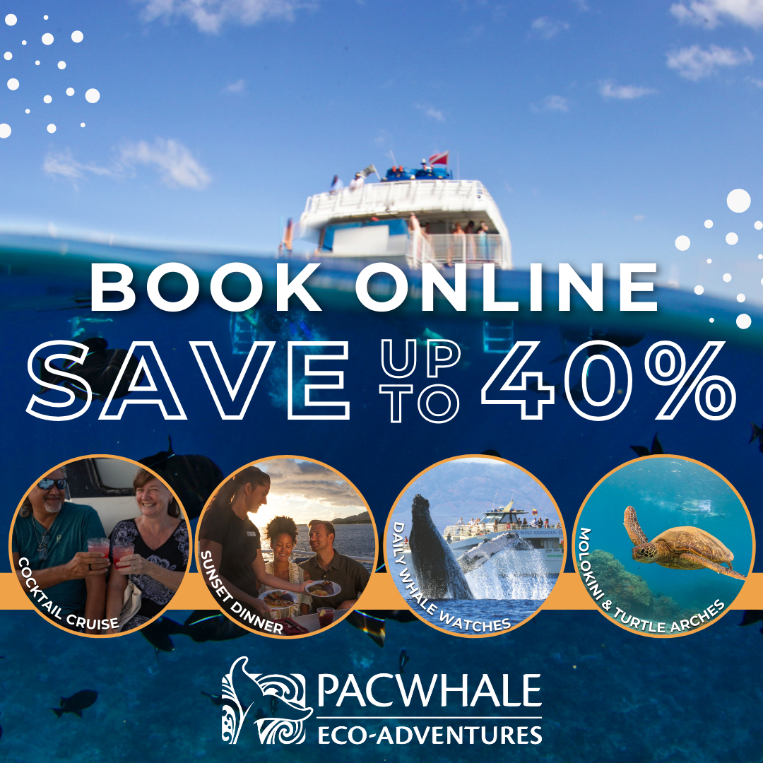 PacWhale Eco-Adventures Facebook ad from Nov 6, 2024