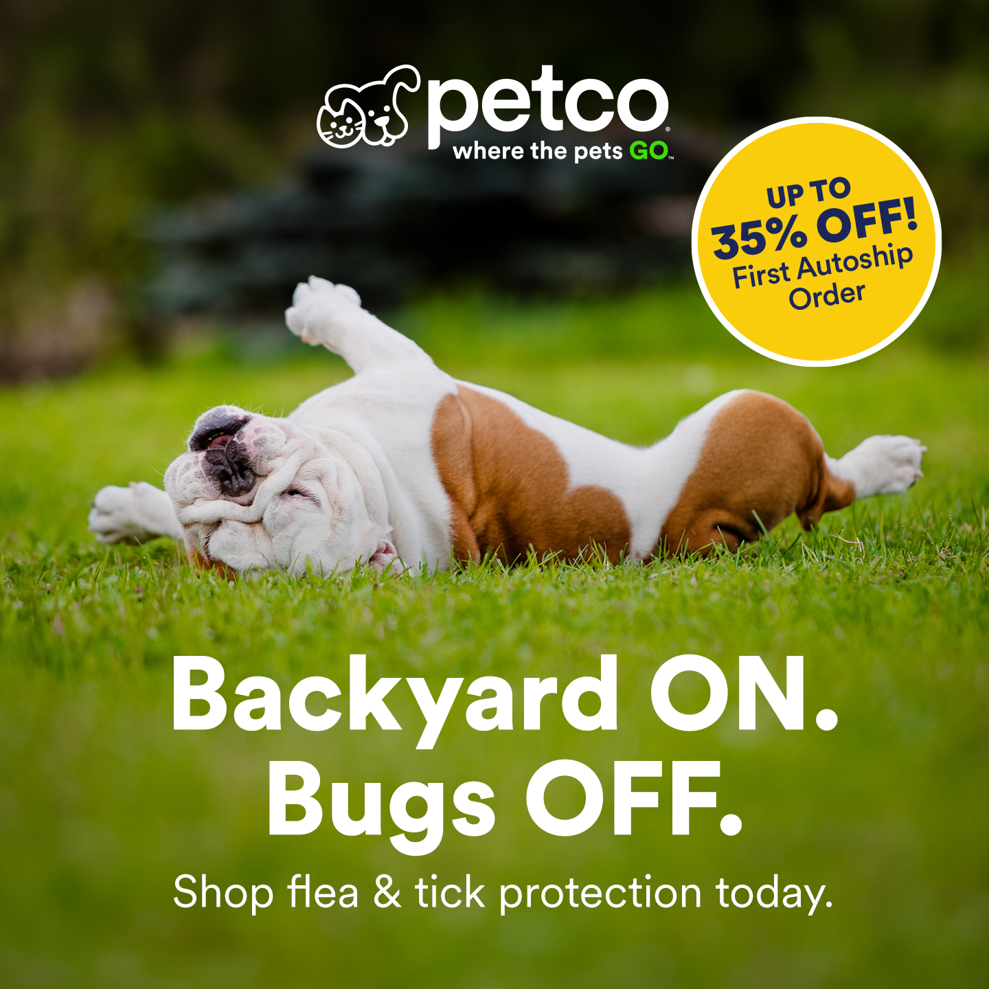 Petco Facebook ad