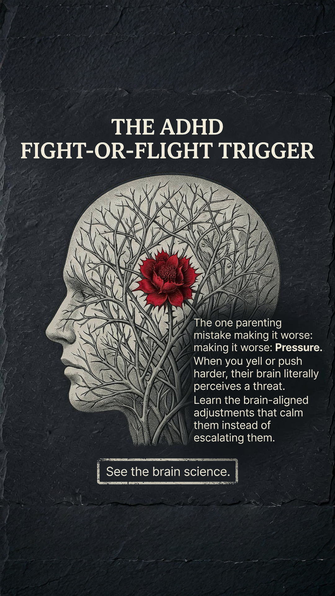 Kidology Facebook ad