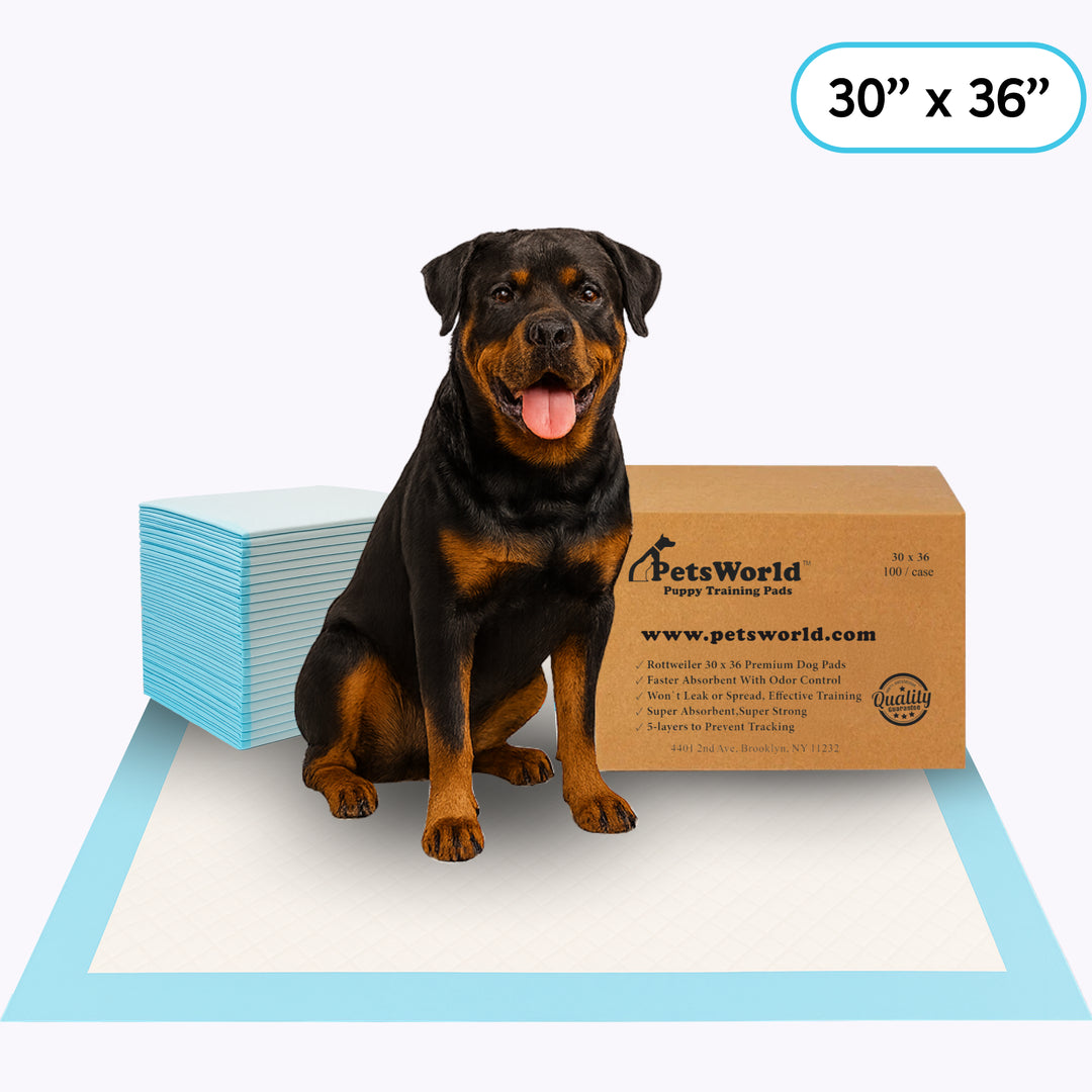PetsWorld Inc Facebook ad: 3,000+ Pet Parents Can't Be Wrong!