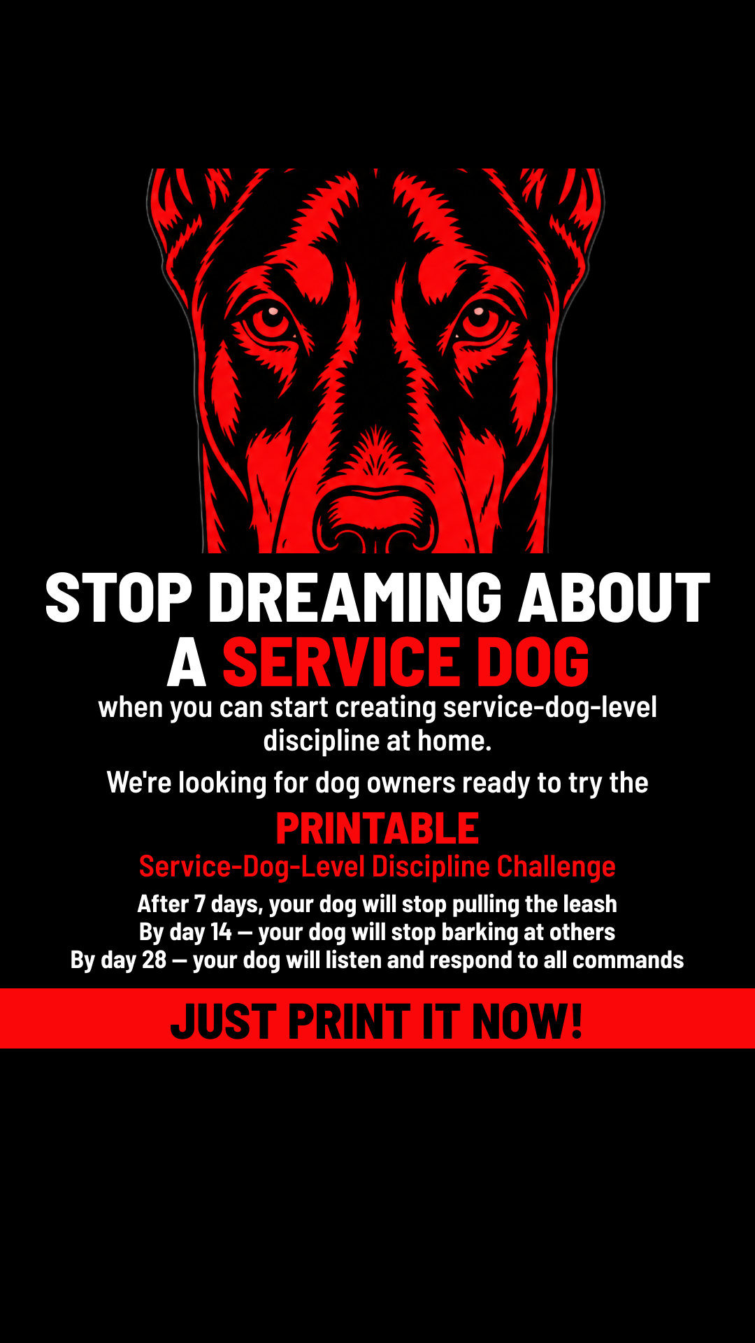 Max Anderson Facebook ad: Take the lead. Start now