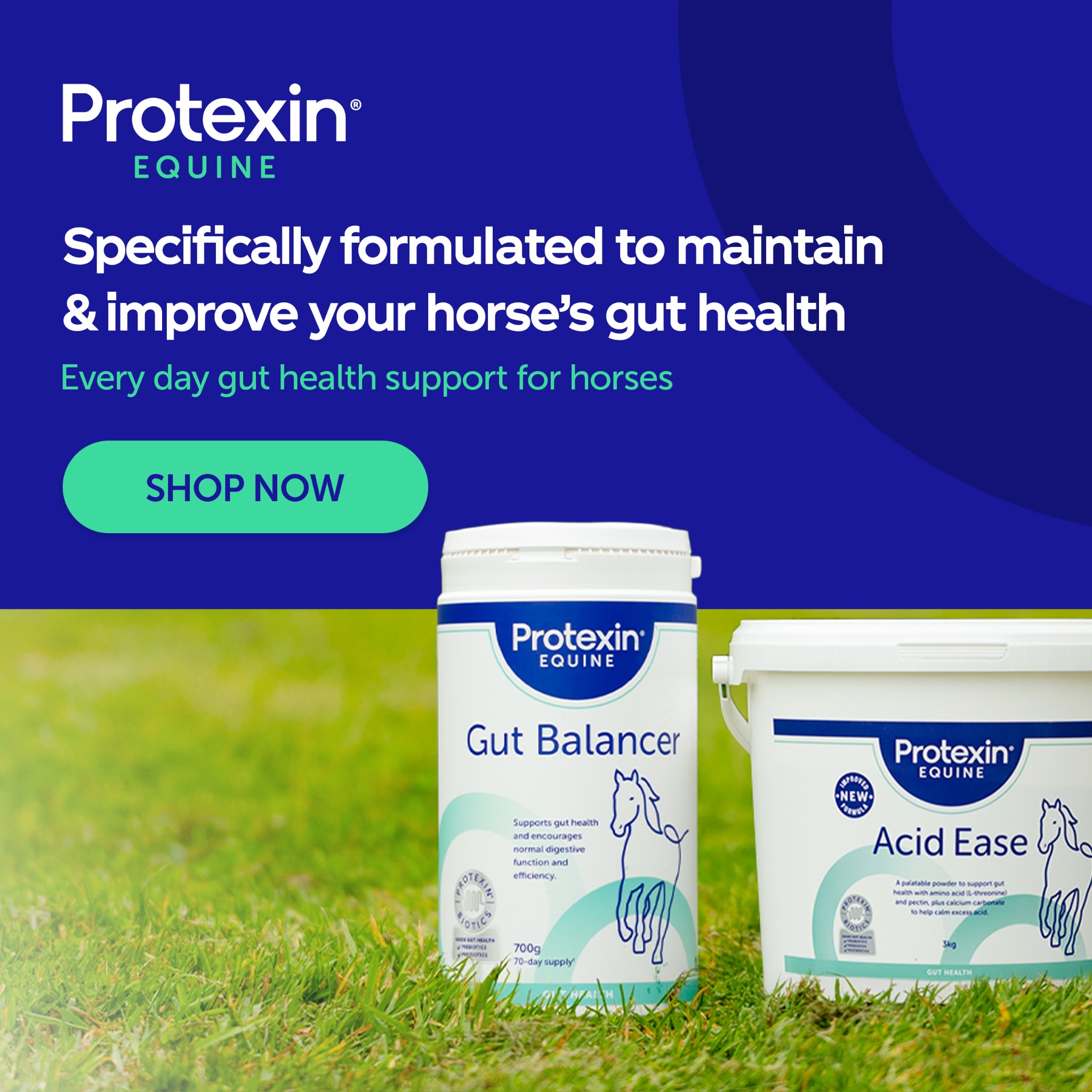 Protexin Equine Facebook ad