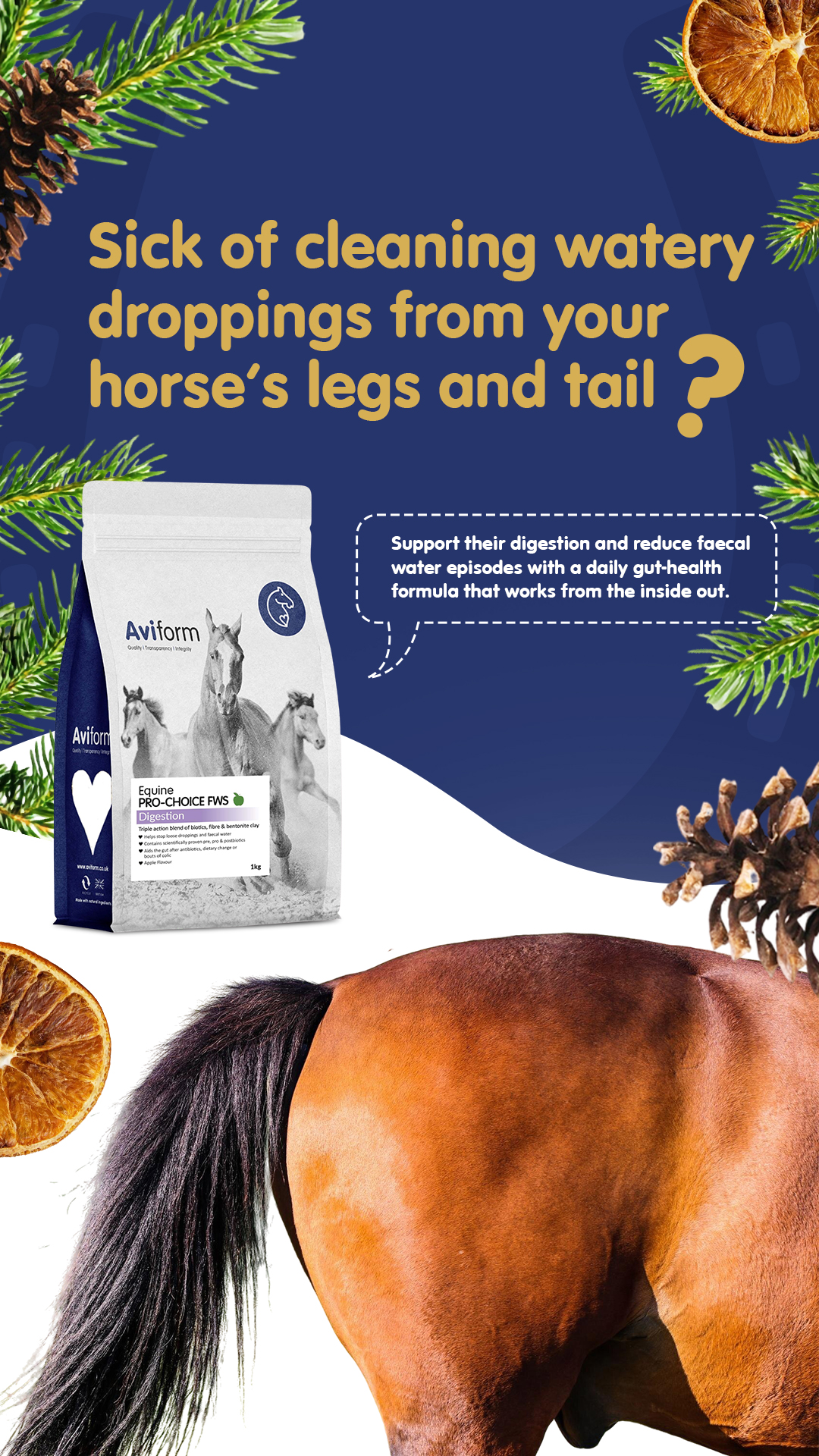 Aviform Nutrition UK - Horse & Dog Facebook ad