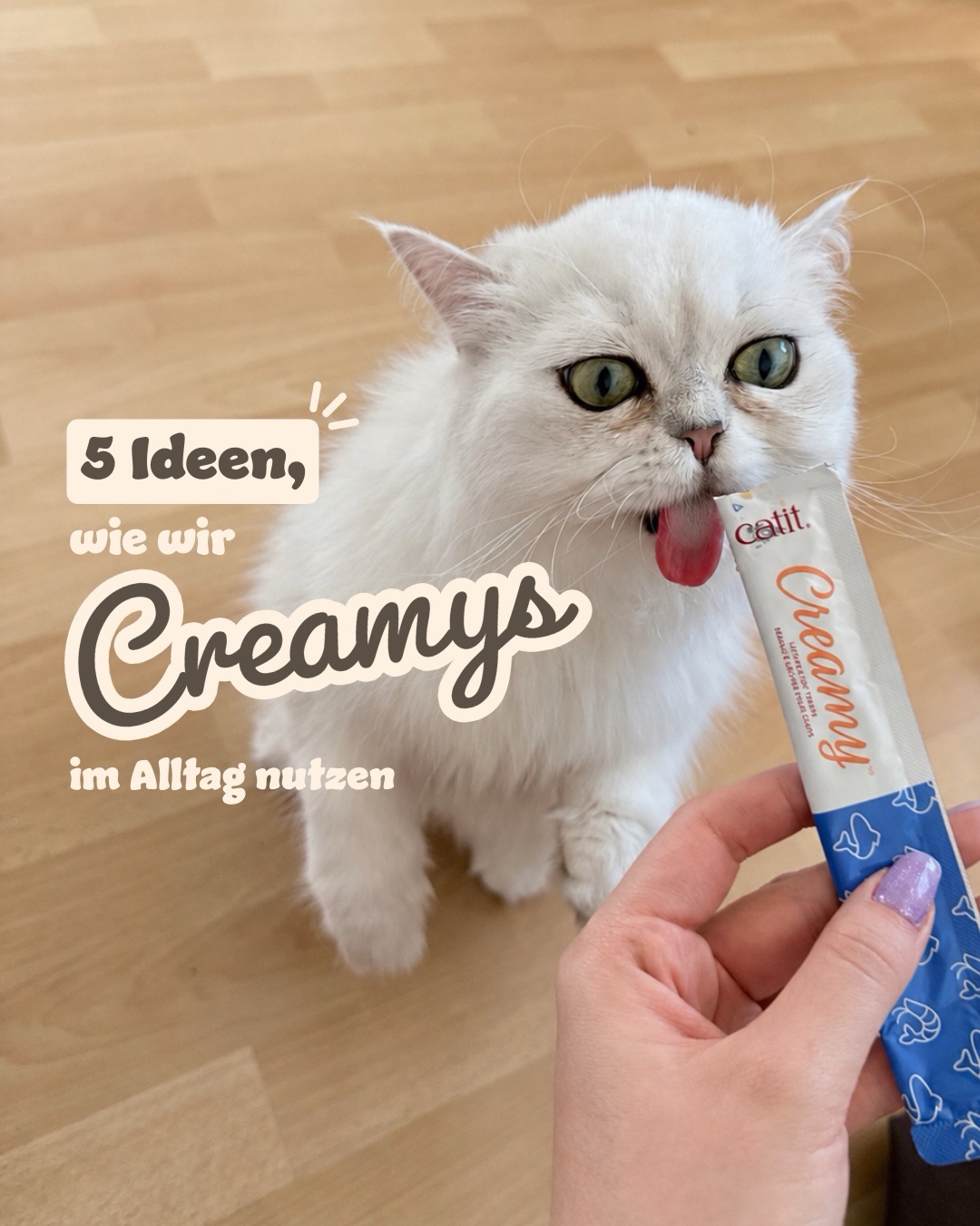 bkhpaws Facebook ad: Bei uns sind Creamys mehr als nur ein…