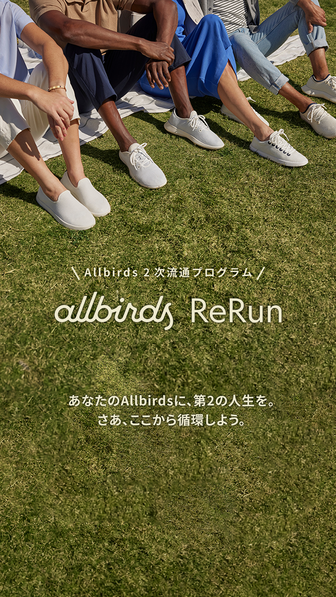Allbirds Japan Facebook ad