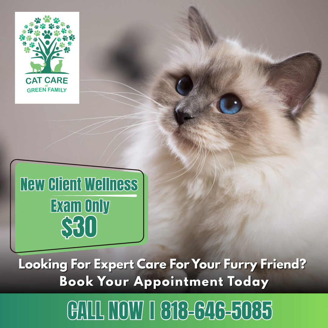 Green Family Veterinary Practice Facebook ad: Compassionate Care from a Cat-Focused Team