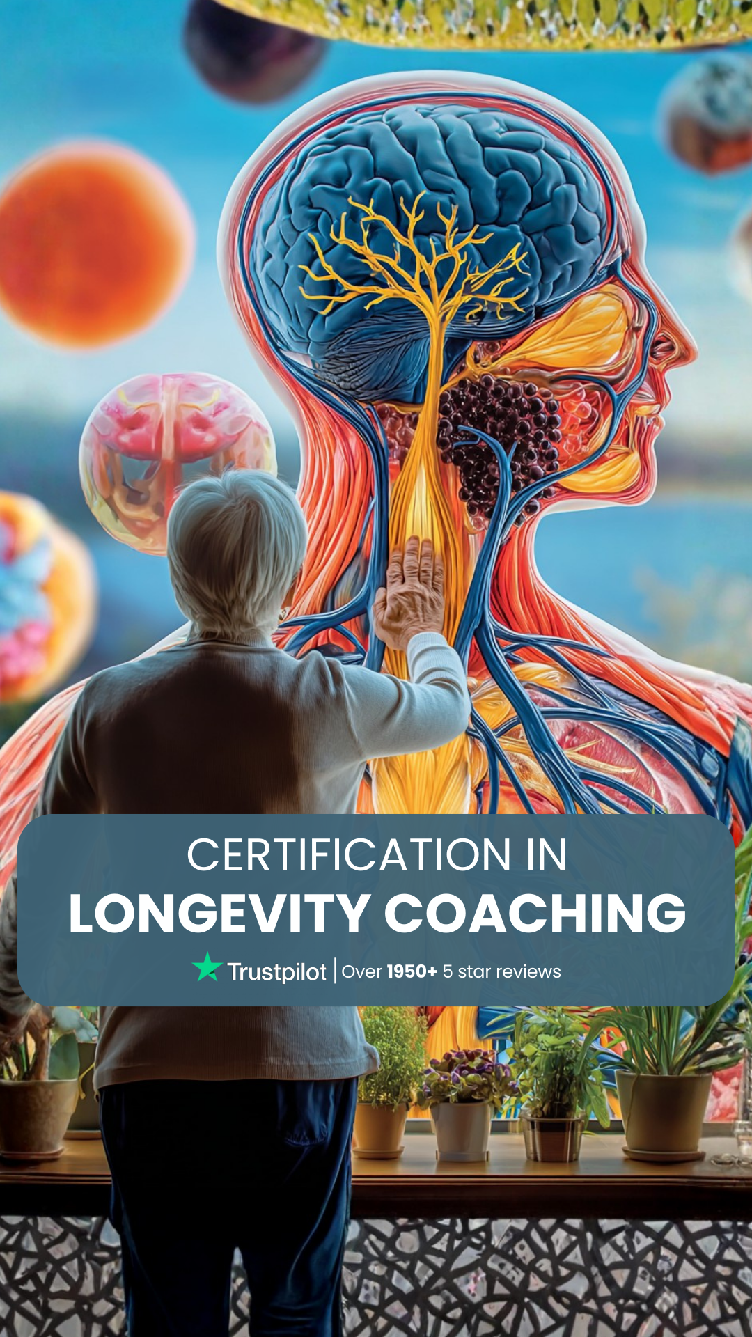 Efficient Coach Facebook ad from Aug 16, 2026