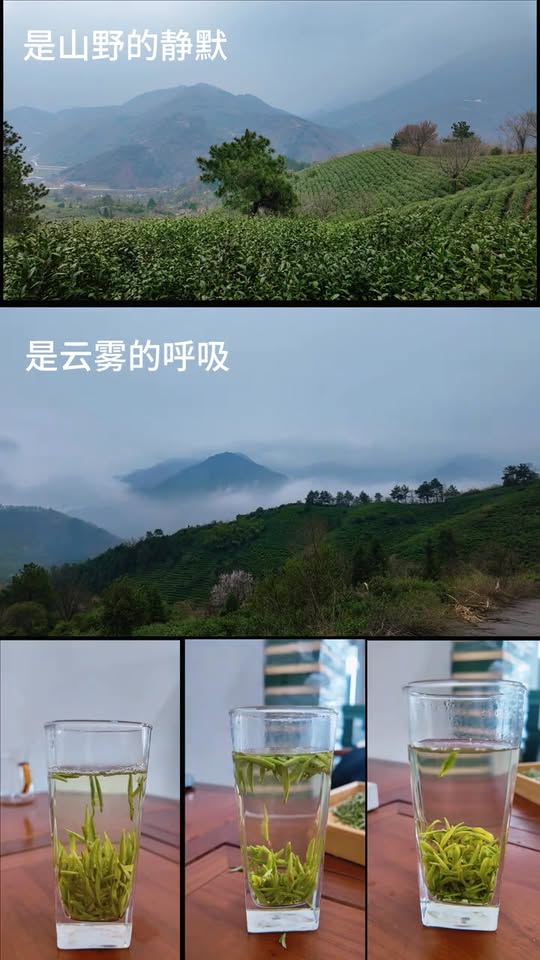 Mingchong Chinese Tea Master Facebook ad: Chinese Tea Supplier