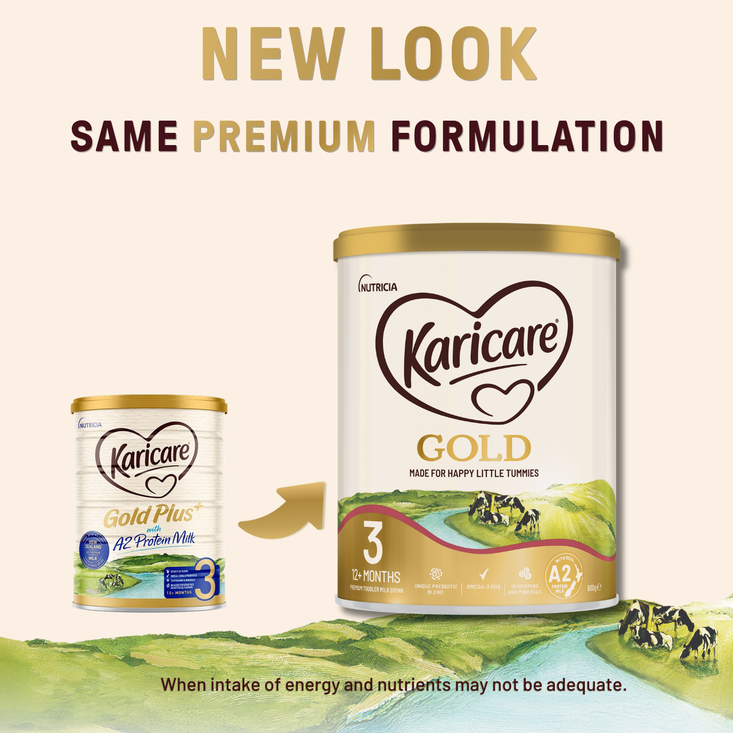 Karinourish Facebook ad from Jun 3, 2026