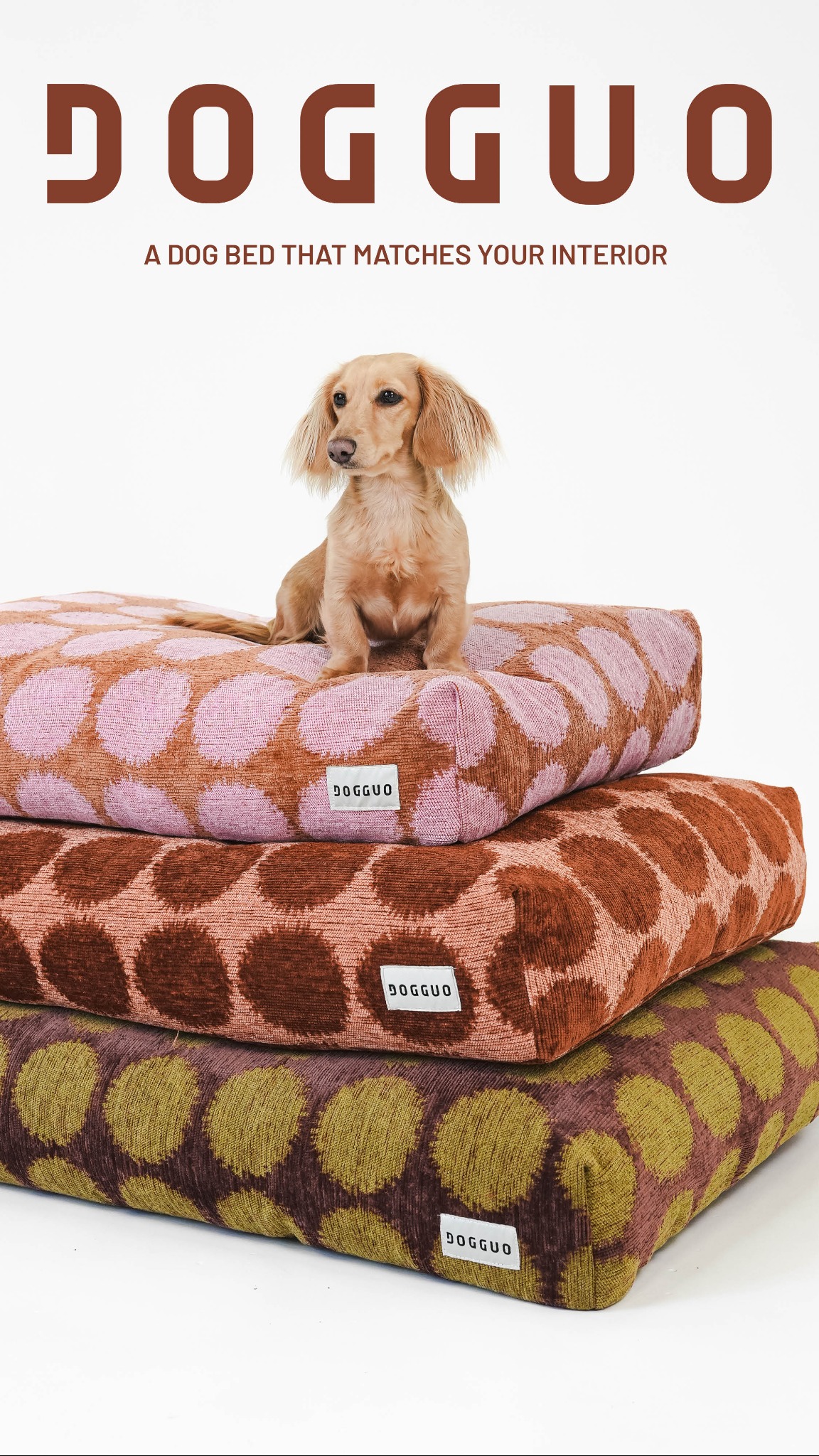 Dogguo Facebook ad: A collection where colour, comfort and character come…