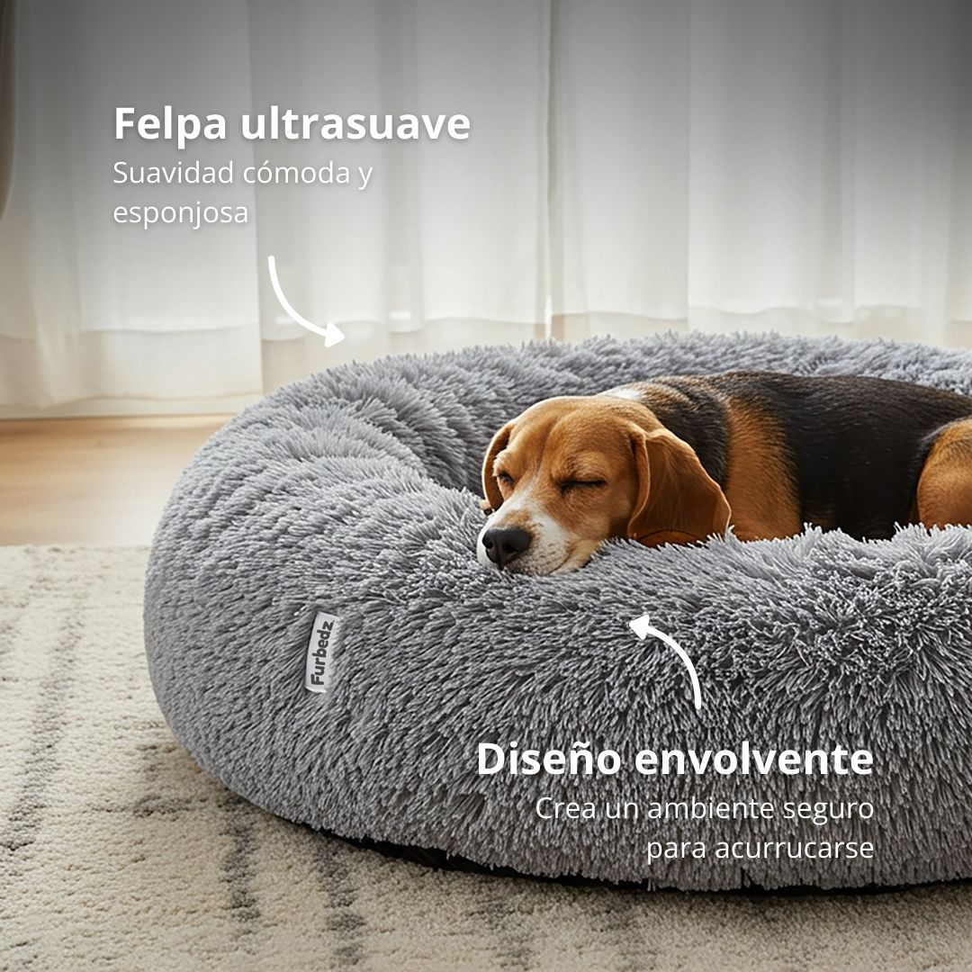 Furbedz Facebook ad