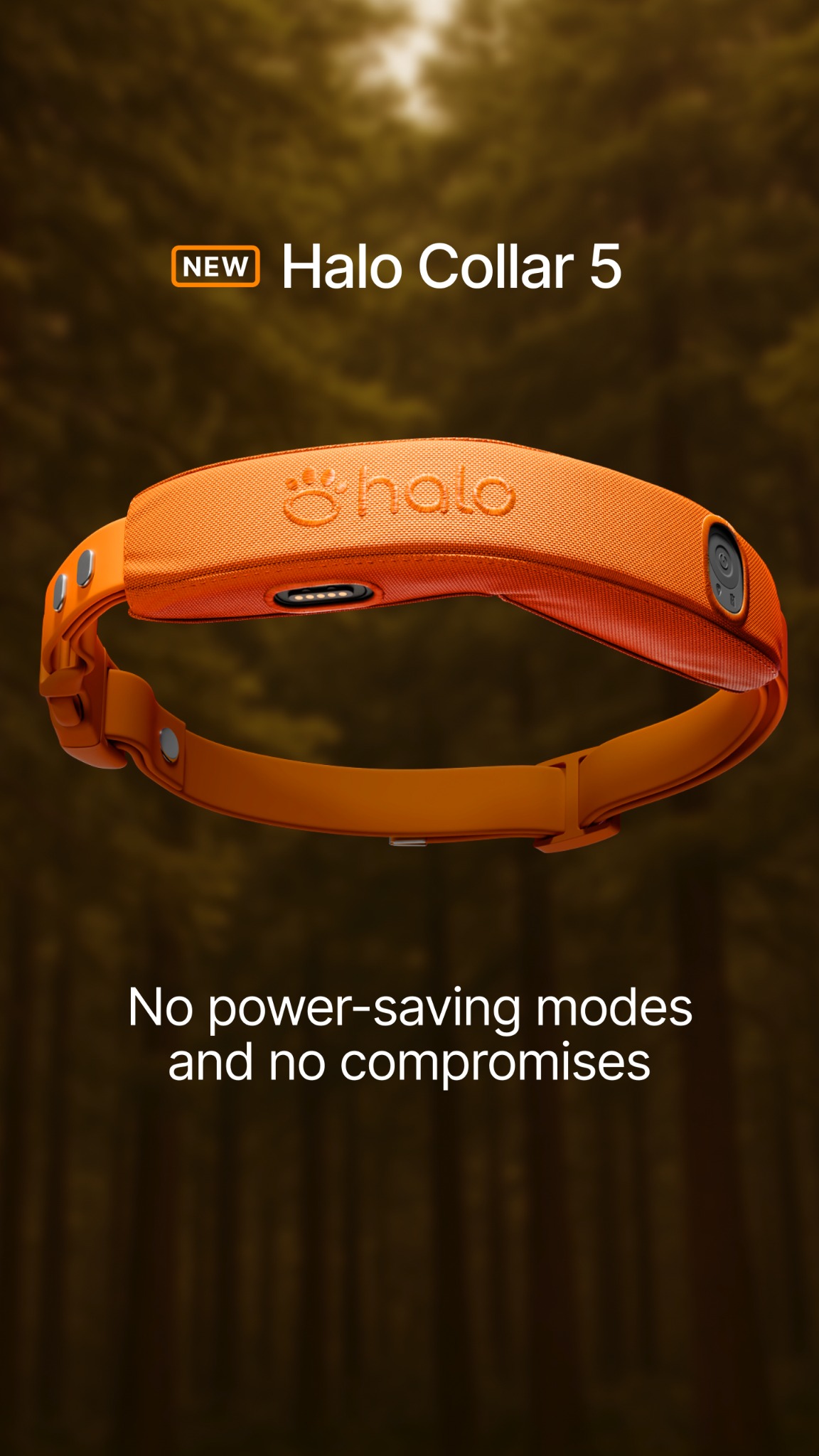 Halo Collar Facebook ad