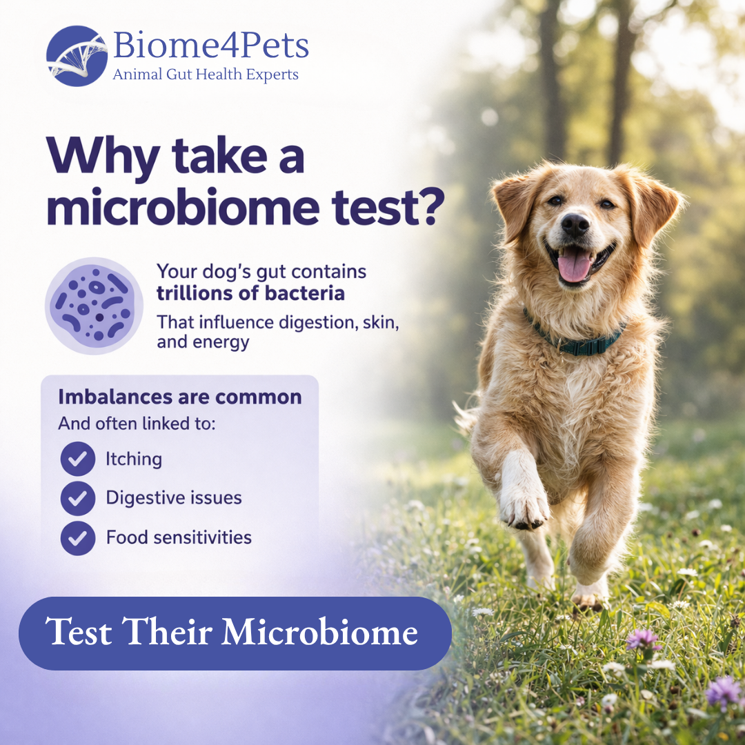 Biome4Pets Facebook ad