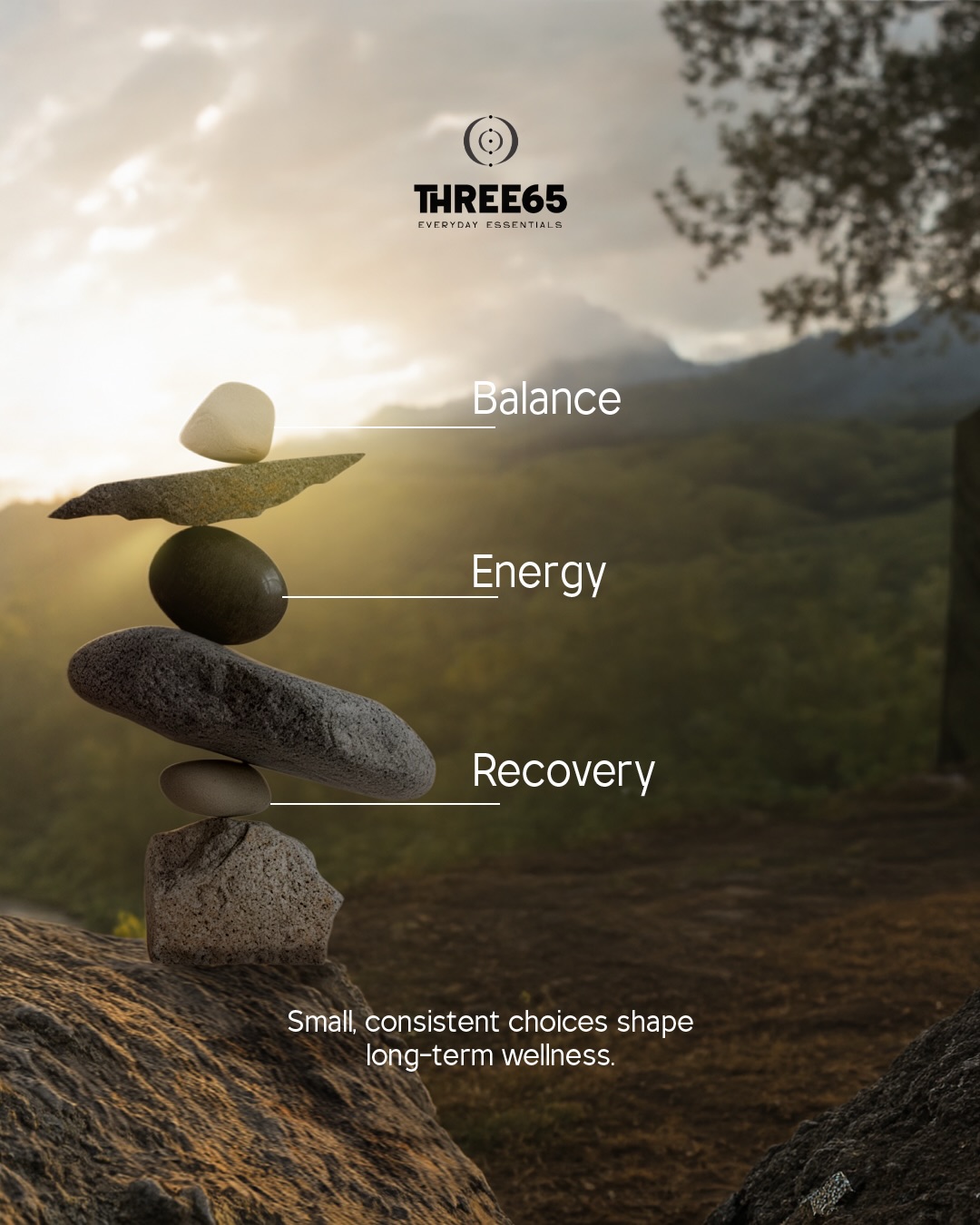 THREE65 Facebook ad: Wellness is all about balance.