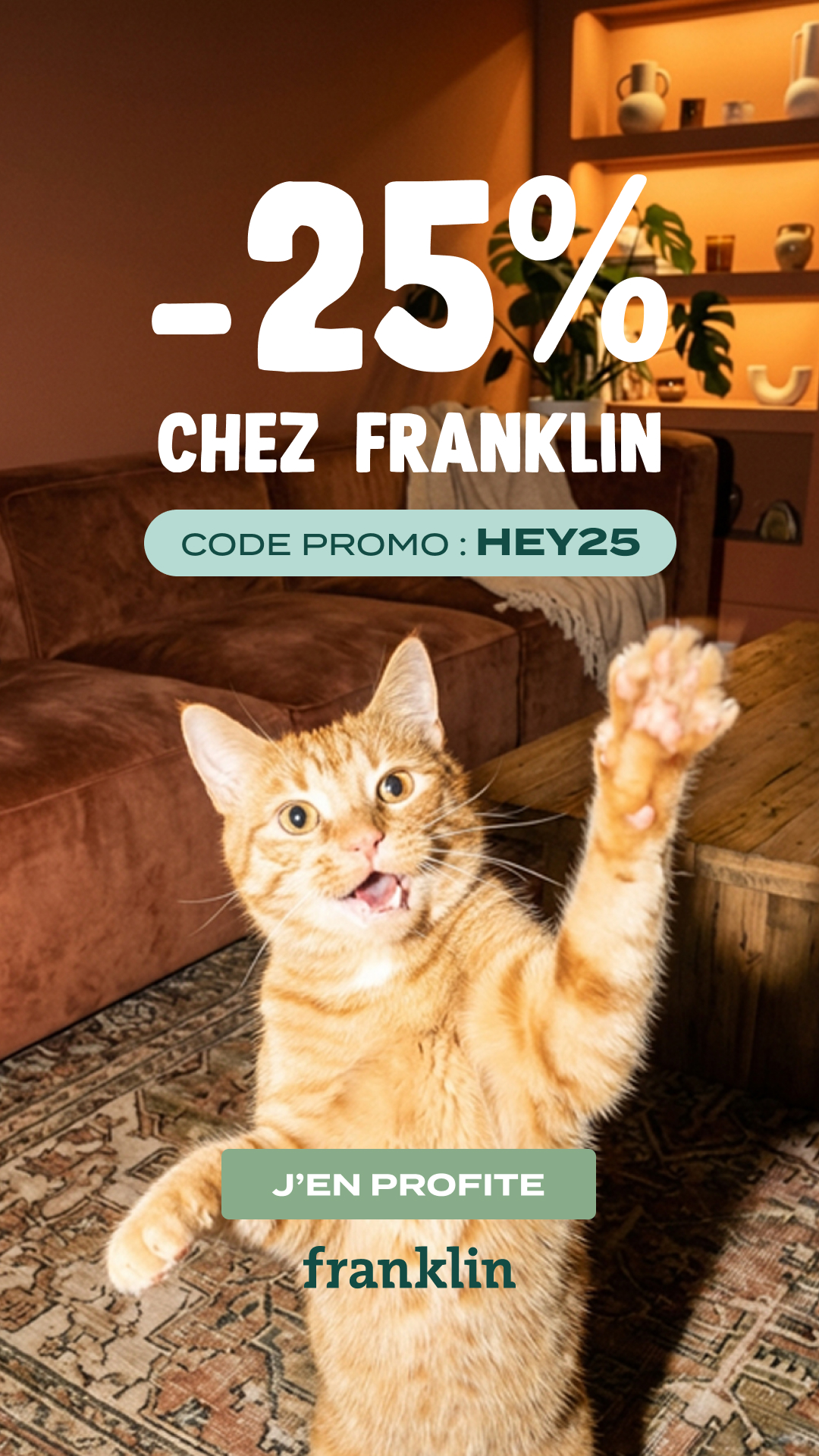 Franklin Pet Food Facebook ad