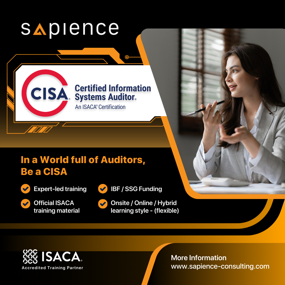 Sapience Consulting Facebook ad