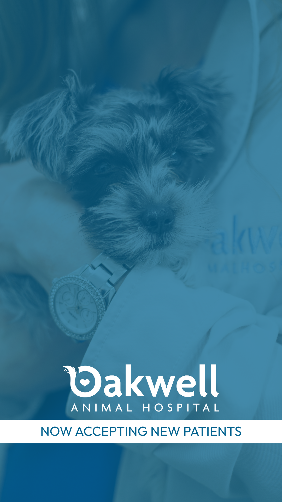 Oakwell Animal Hospital Facebook ad: Treating Your Pets Like Family